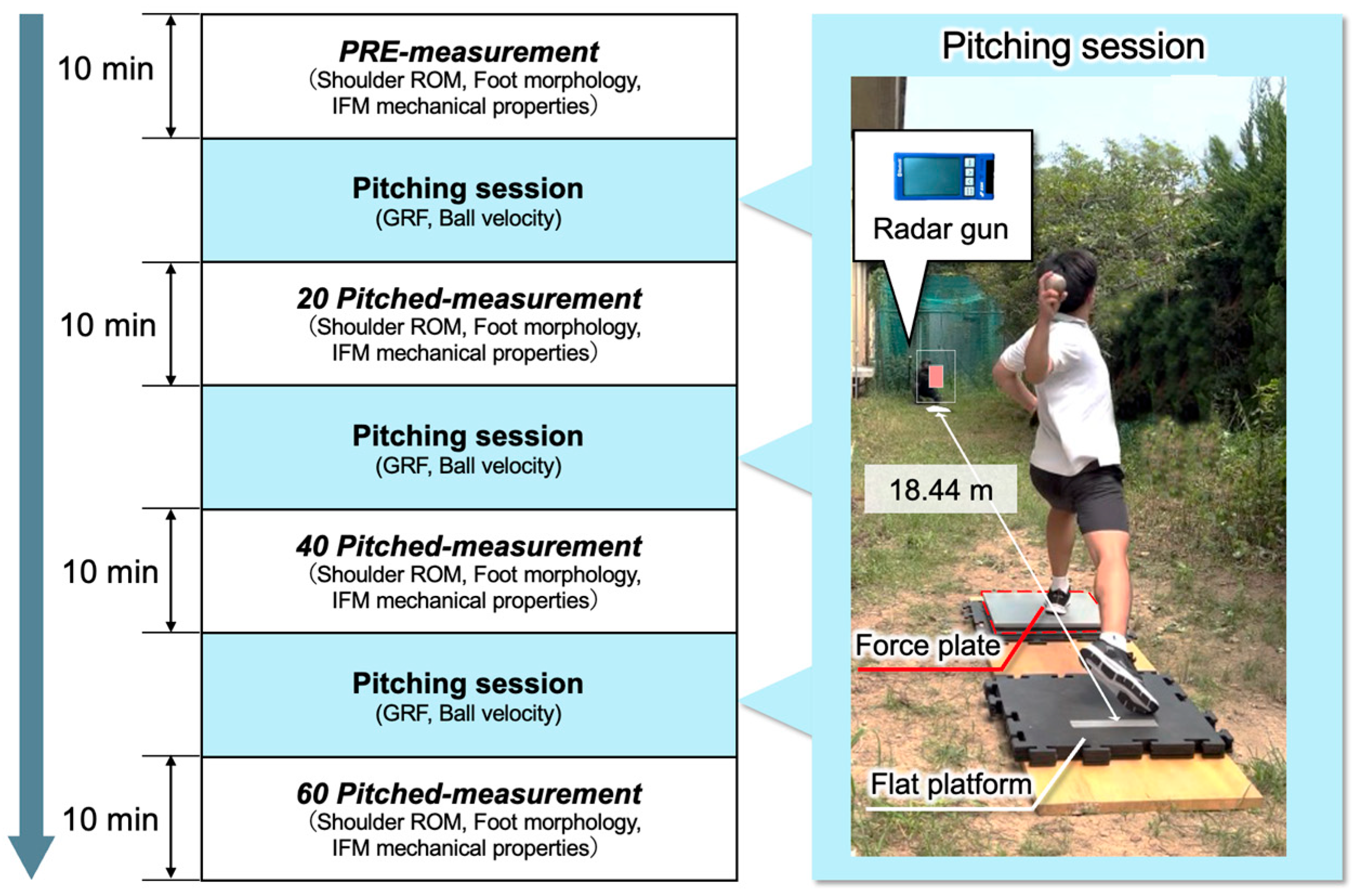 Sports 13 00446 g001 Sports 13 00446 g001