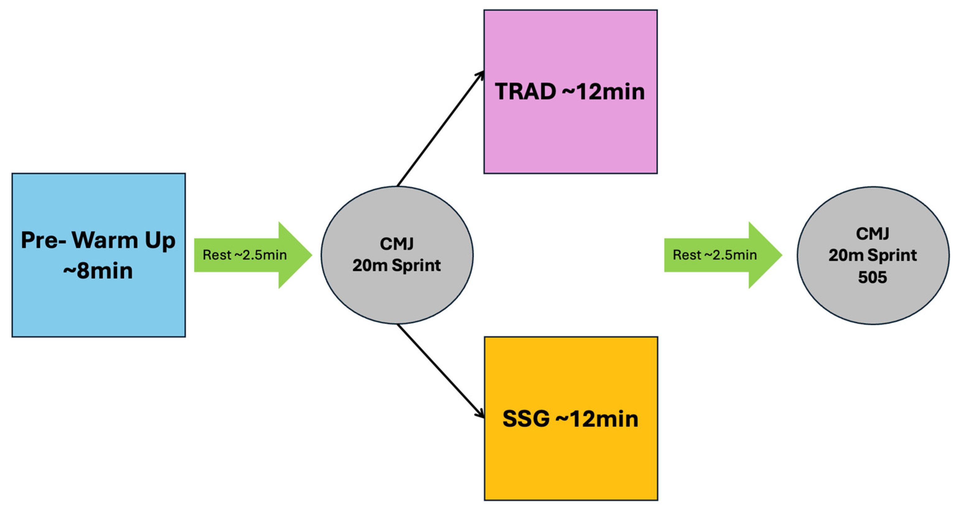 Sports 13 00452 g001 Sports 13 00452 g001