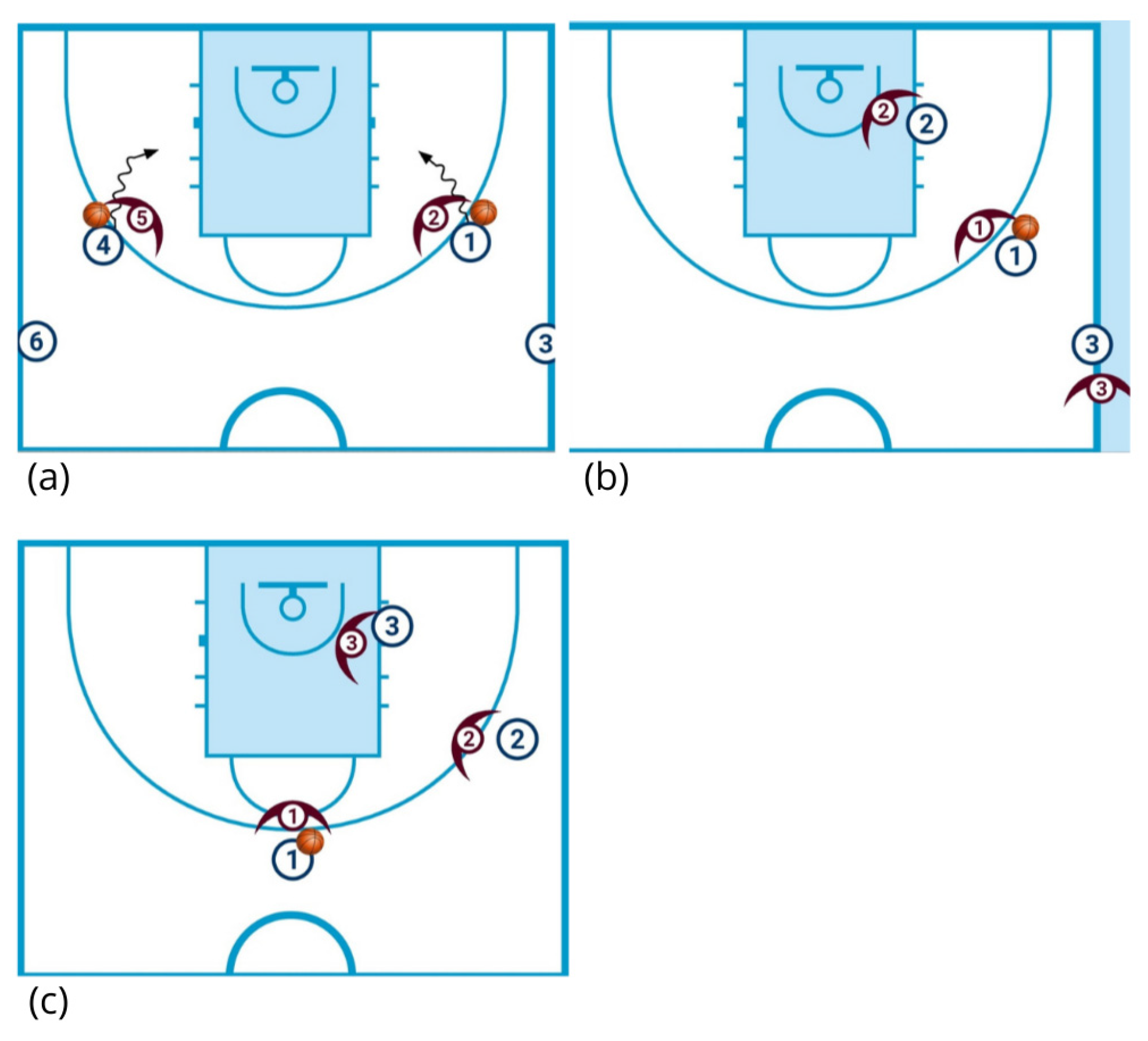 Sports 13 00452 g003 Sports 13 00452 g003