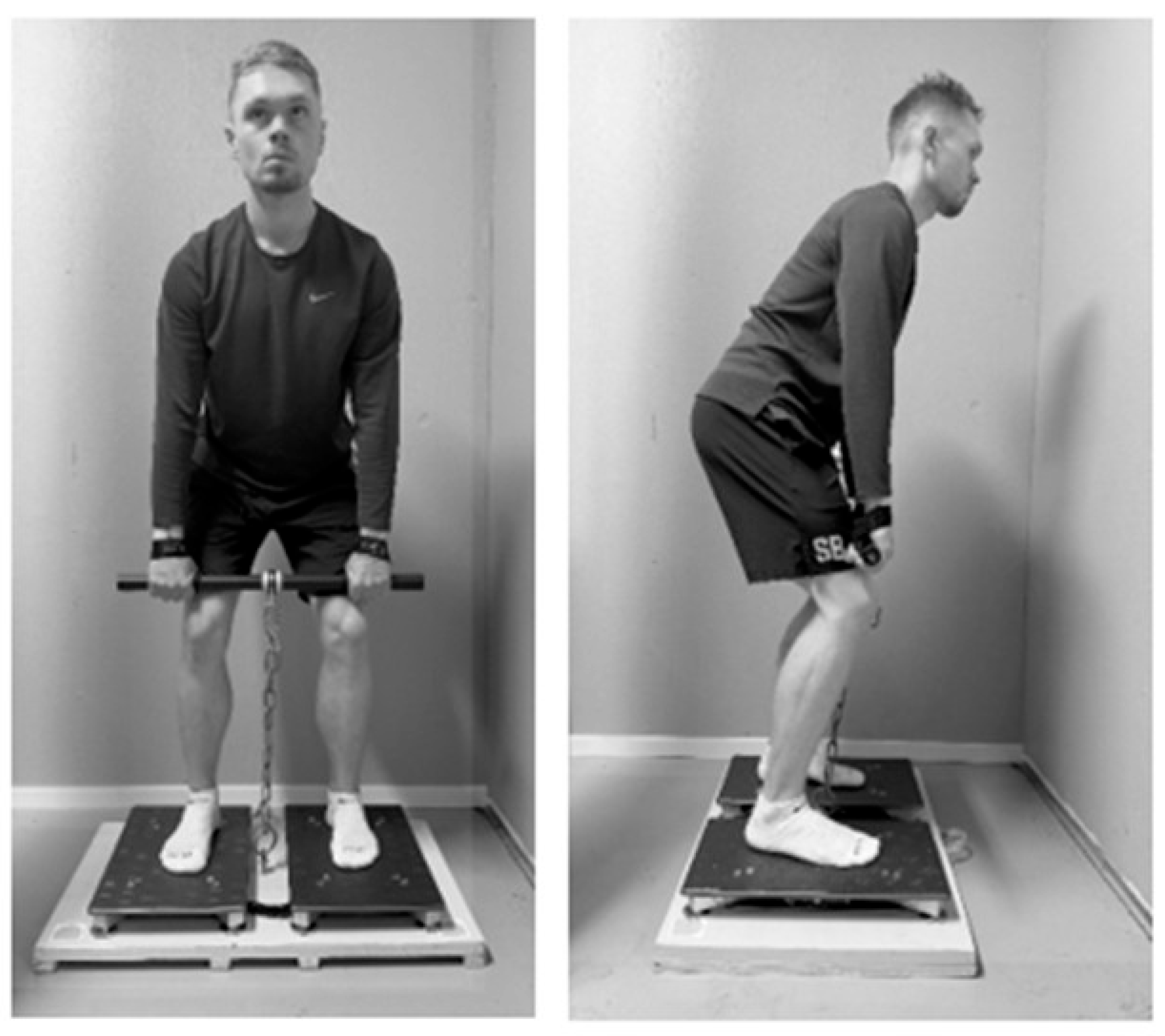 Sports 13 00456 g001