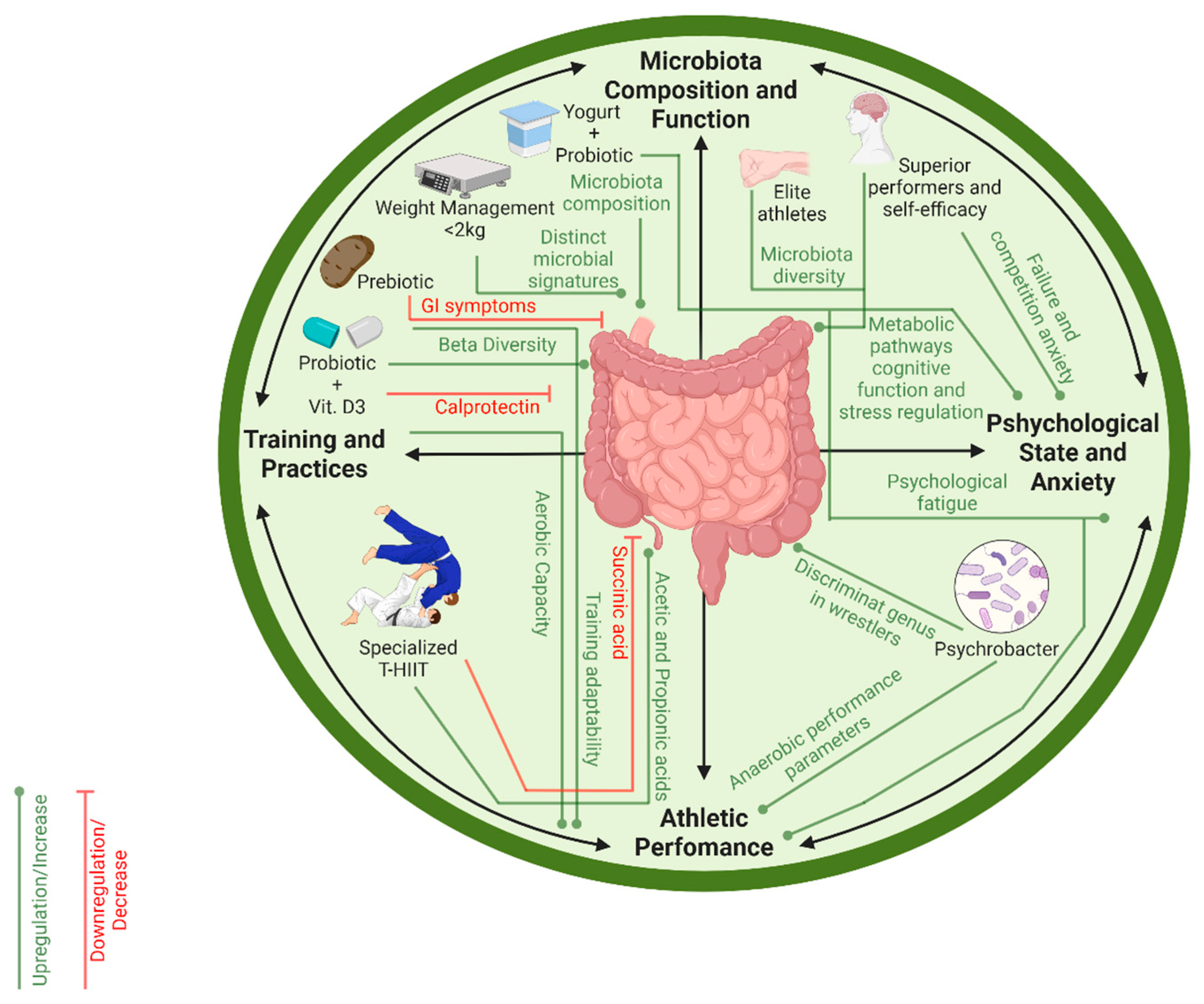 Sports 14 00019 g002 Sports 14 00019 g002