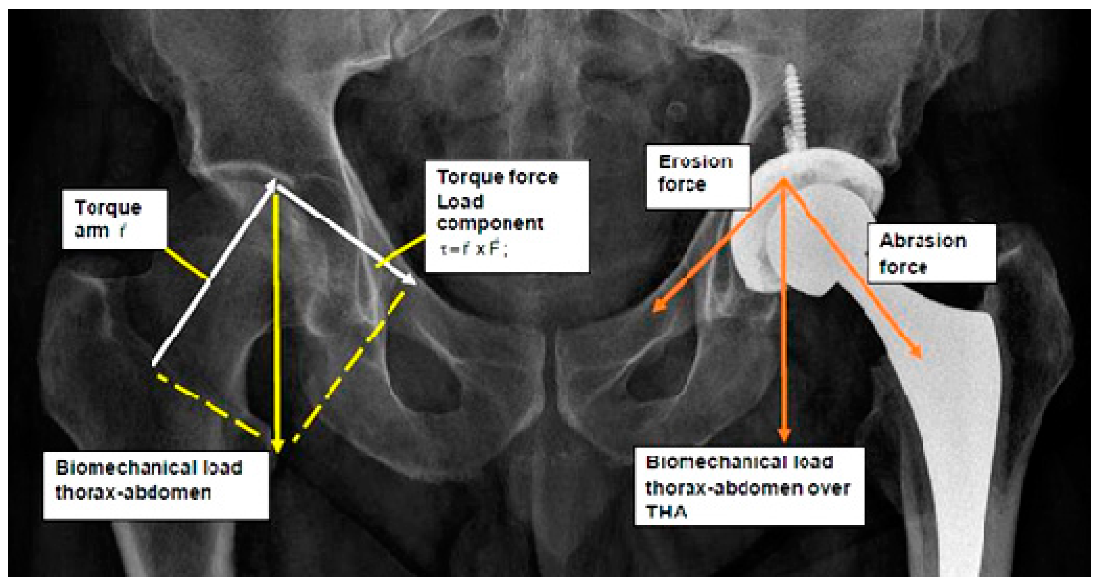 Standards 01 00006 g001