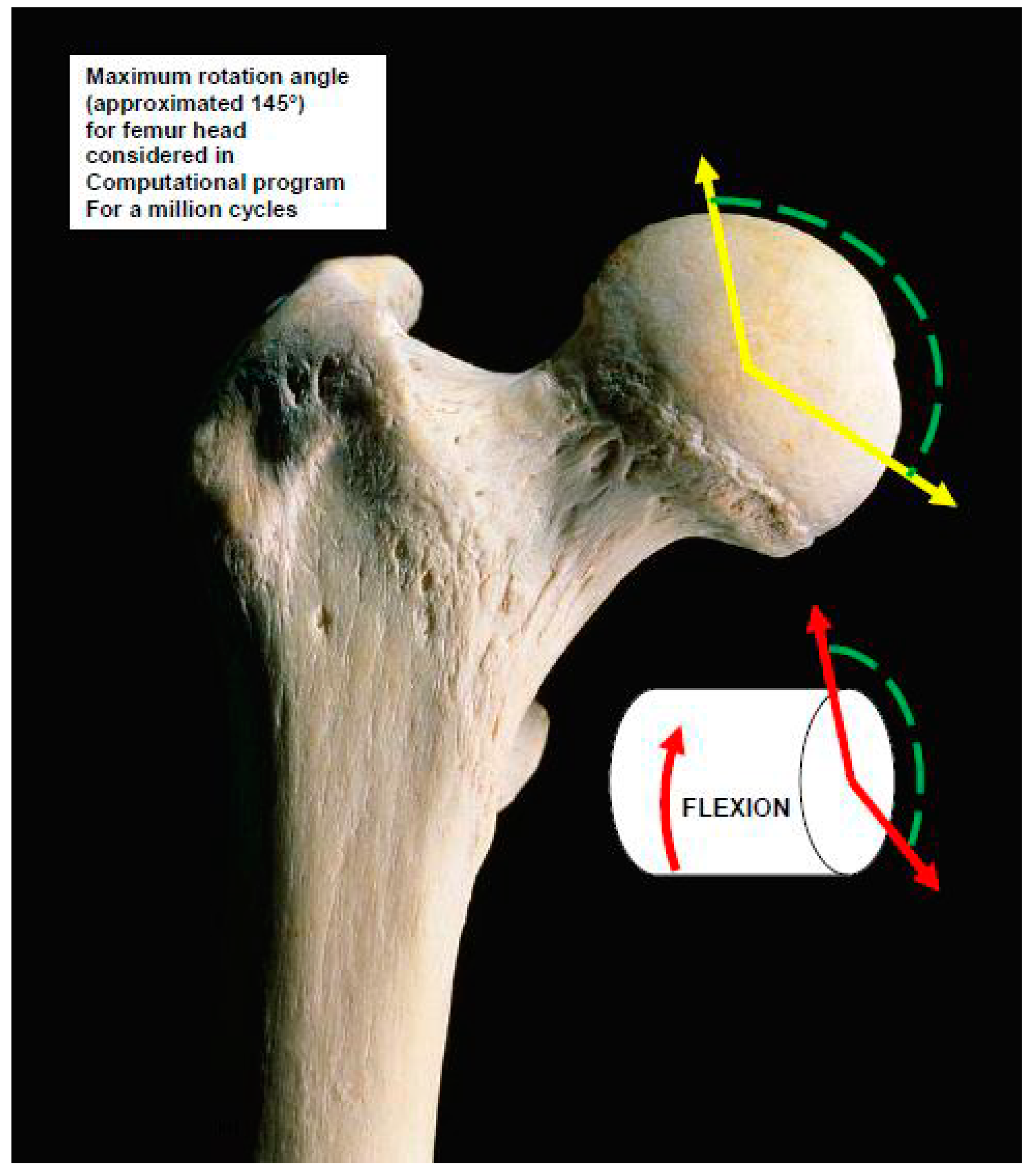 Standards 01 00006 g002