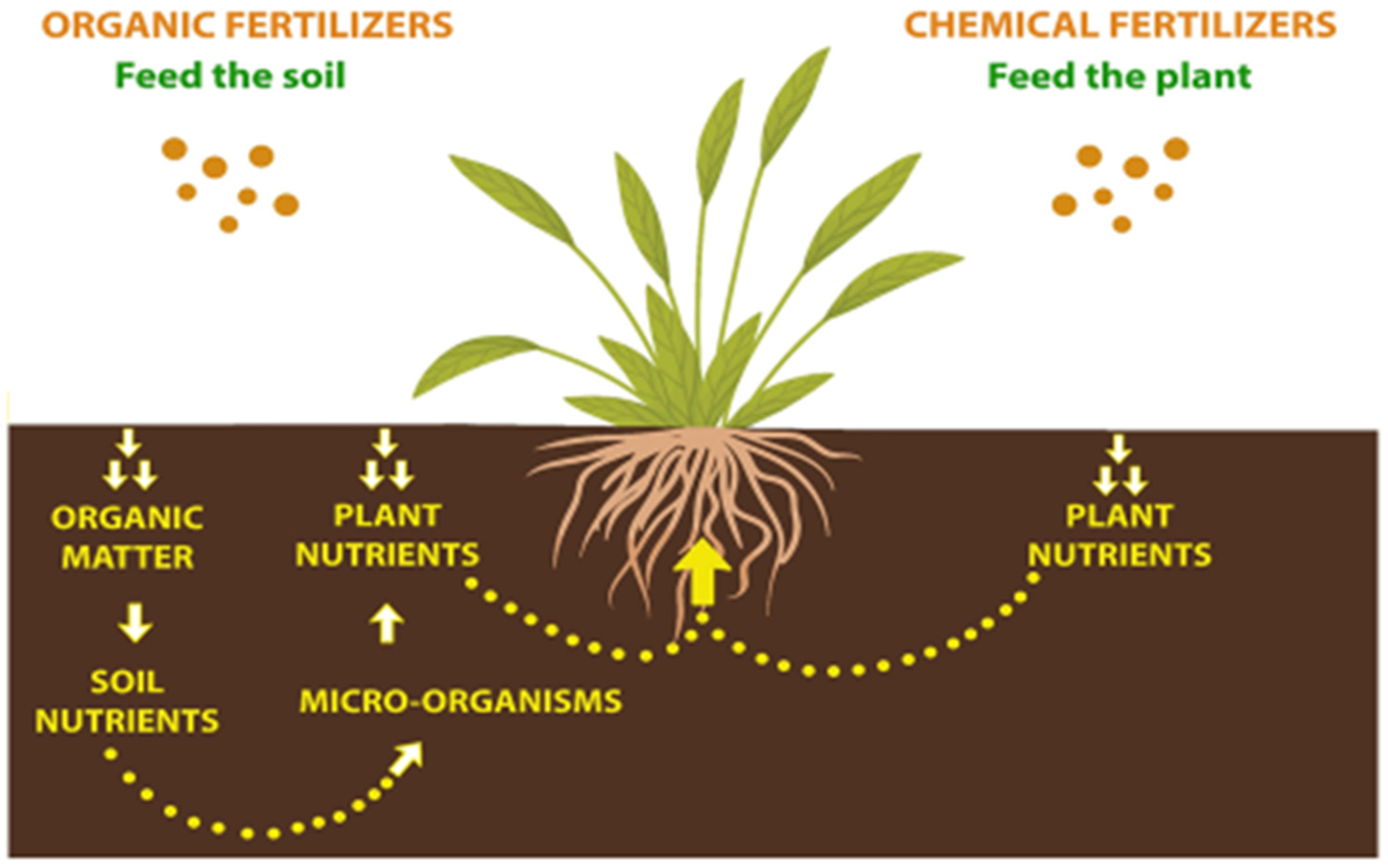 Standards 03 00027 g003
