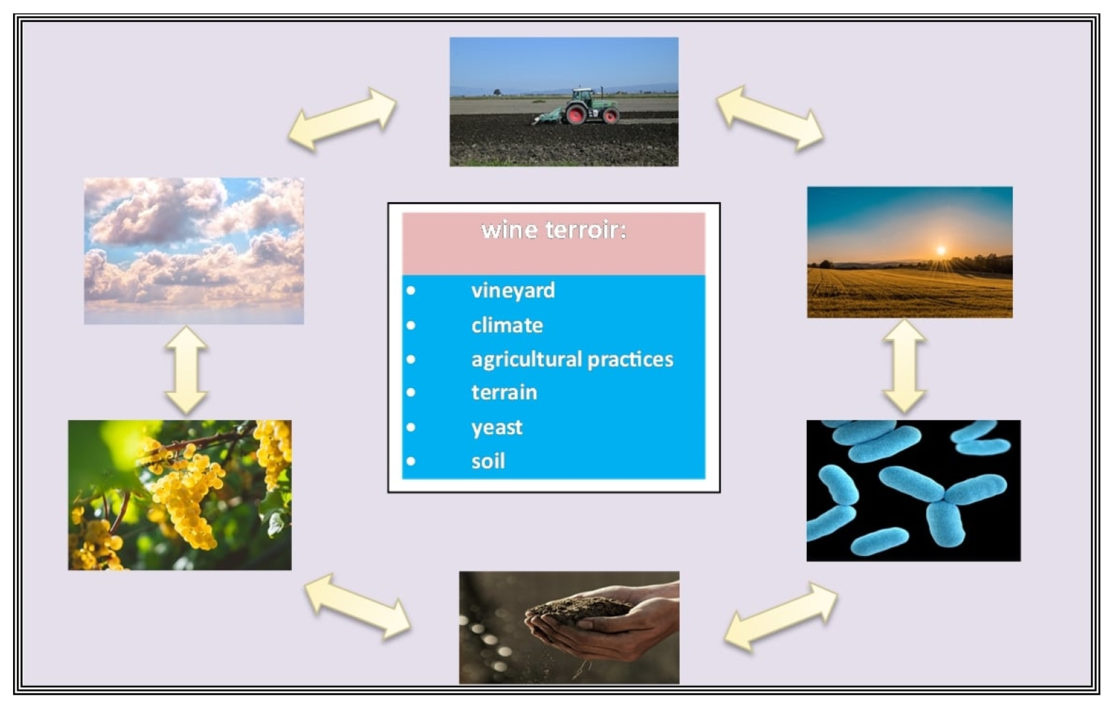 Stats 06 00060 g001 Stats 06 00060 g001