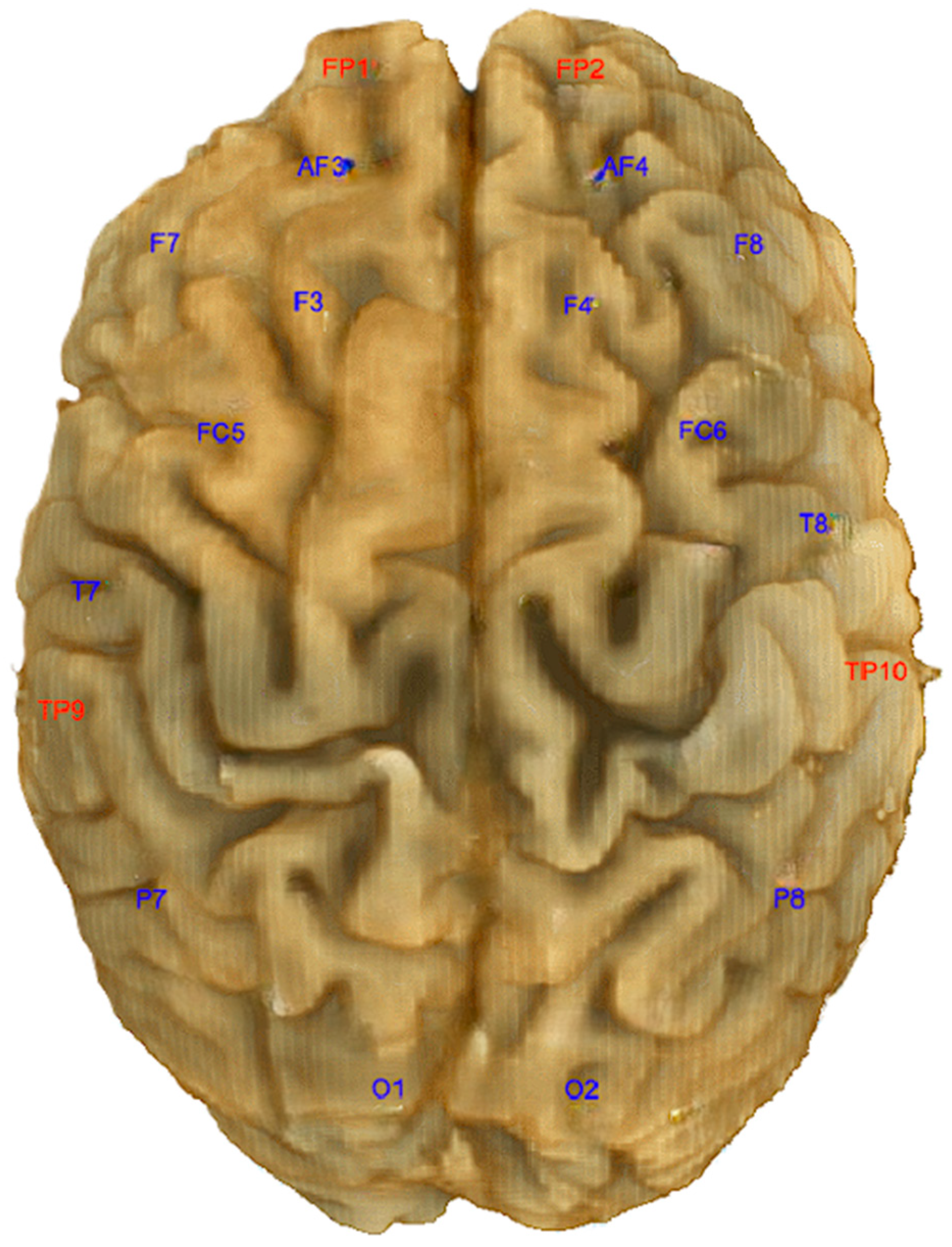 EEG Signal Analysis for Numerical Digit Classification