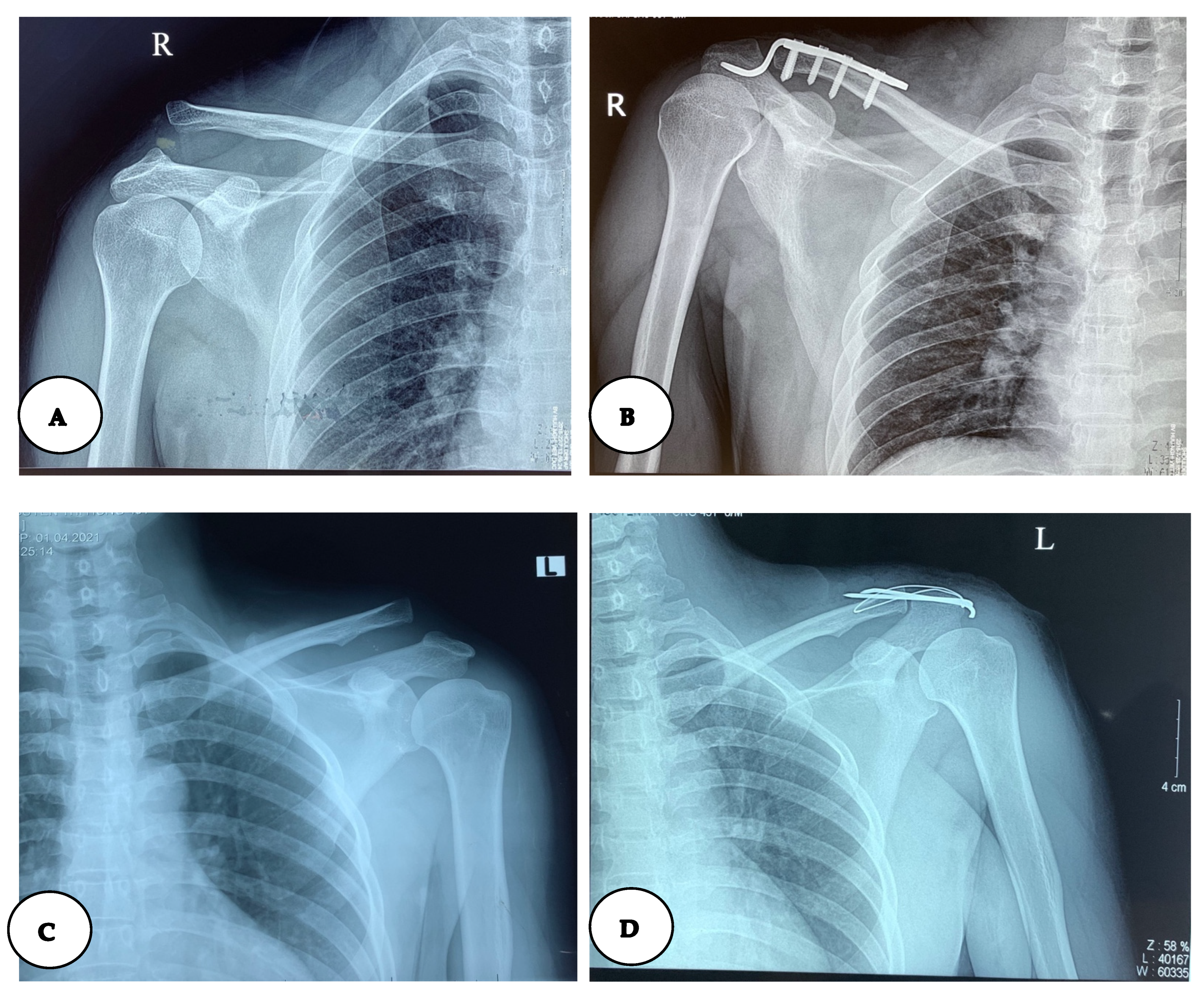 Std 11 00010 g002a Std 11 00010 g002a