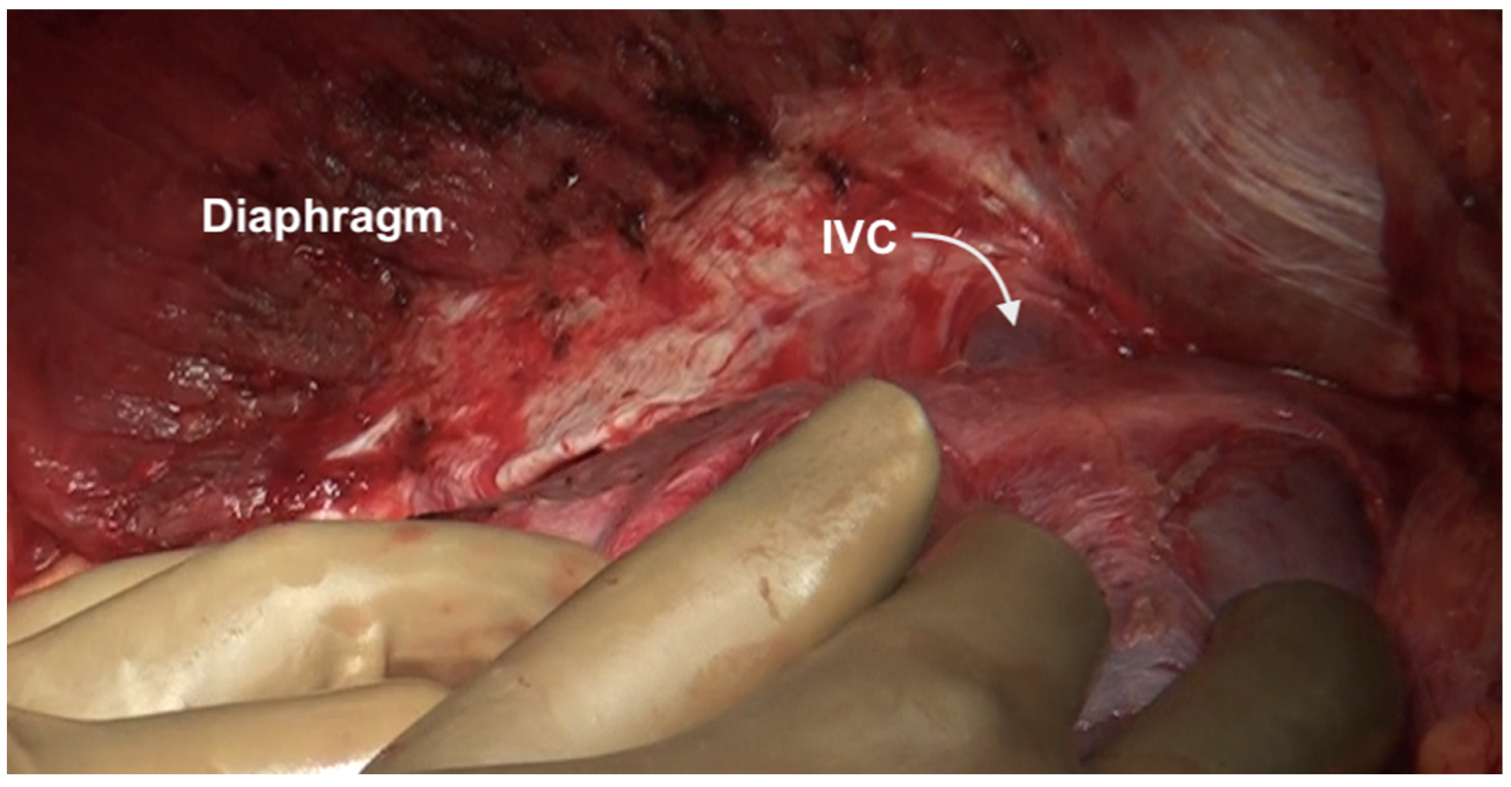 Std 12 00001 g007 Std 12 00001 g007