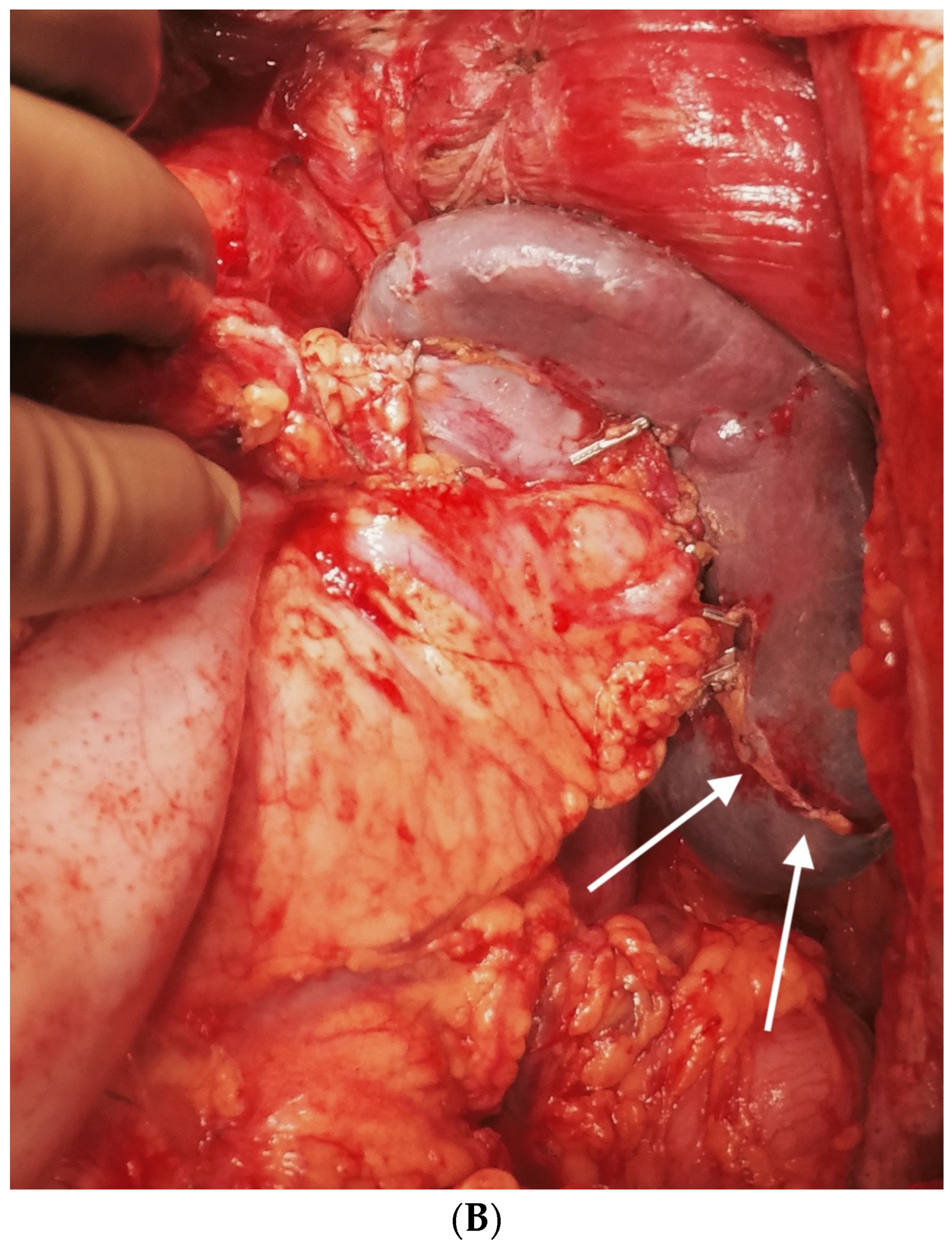 Std 12 00001 g019b Std 12 00001 g019b