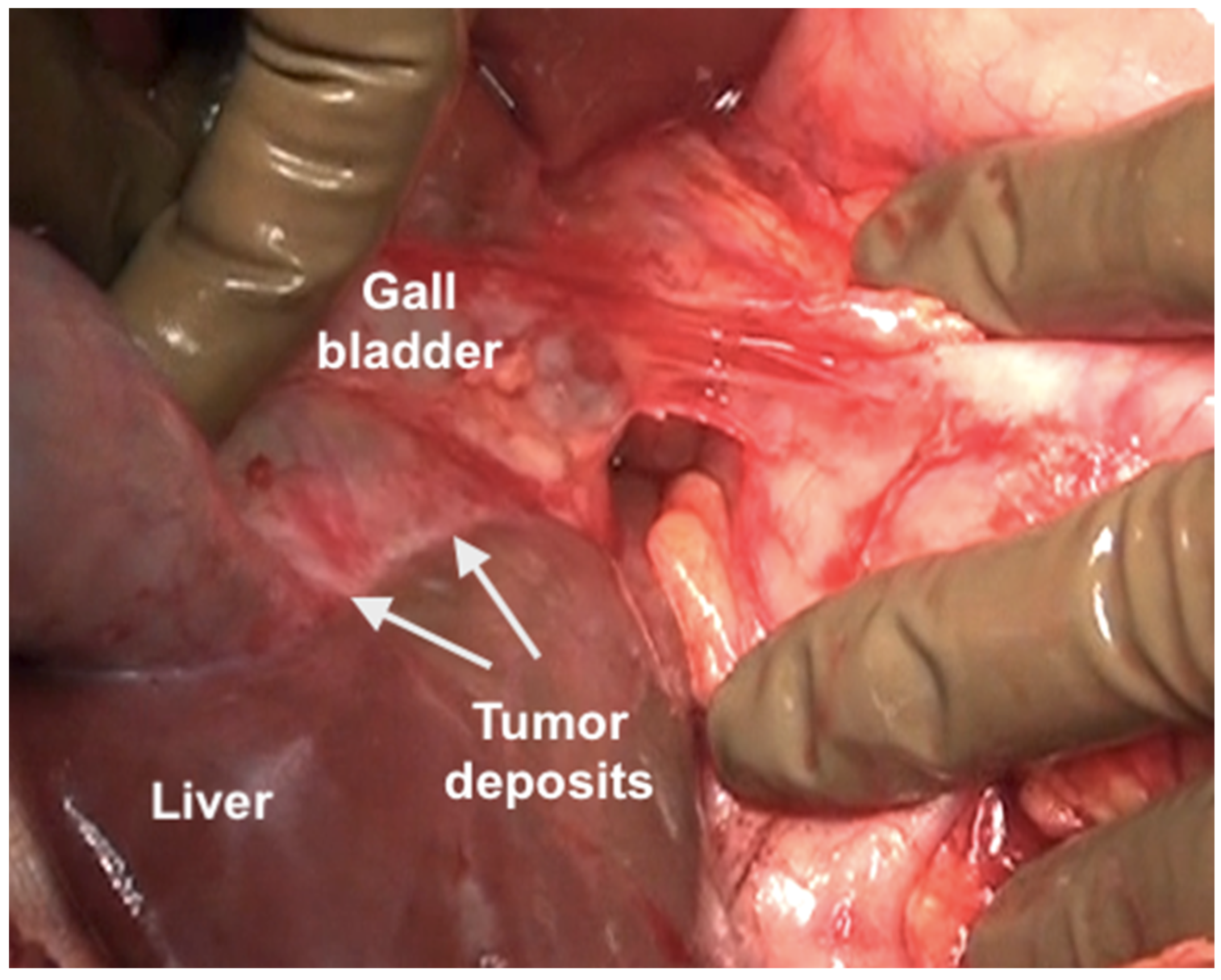 Std 12 00001 g020 Std 12 00001 g020