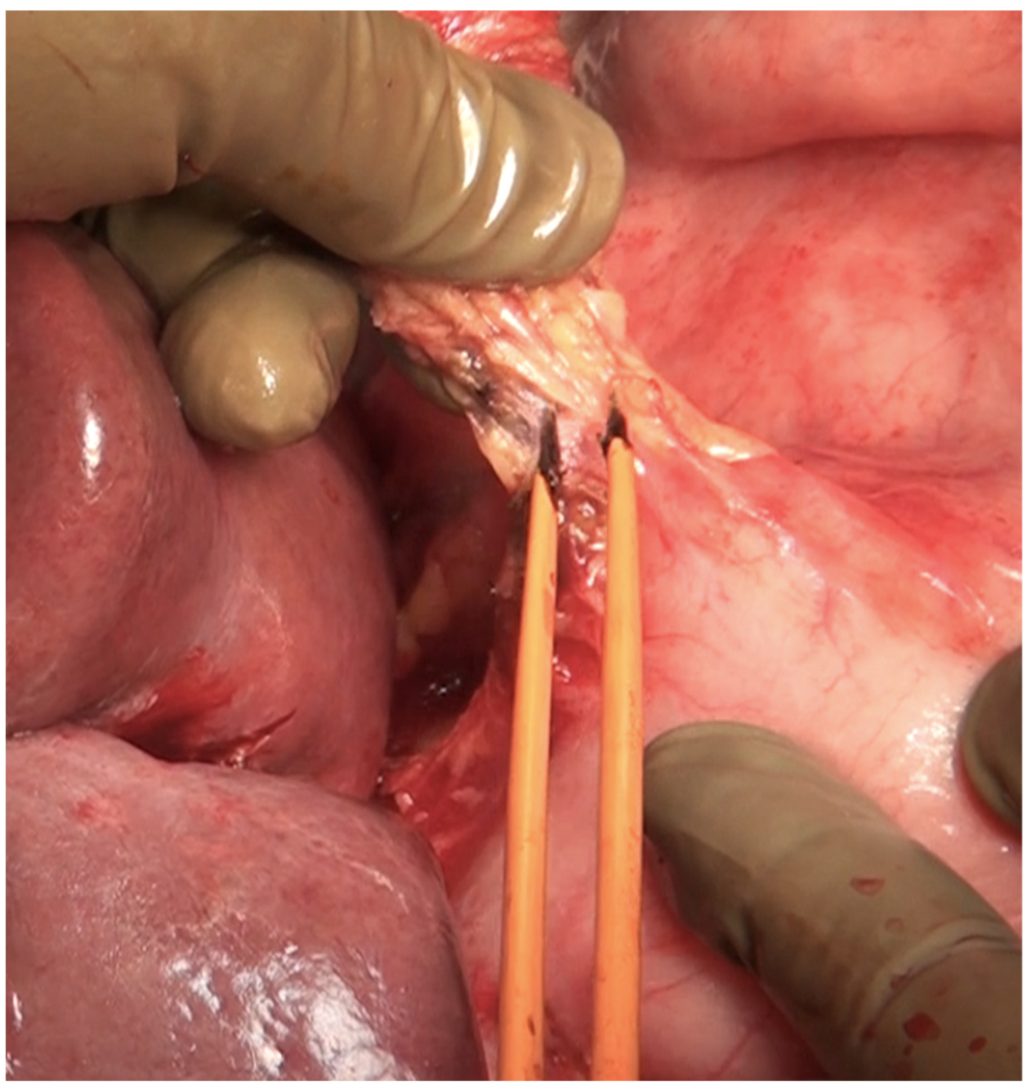 Std 12 00001 g023 Std 12 00001 g023