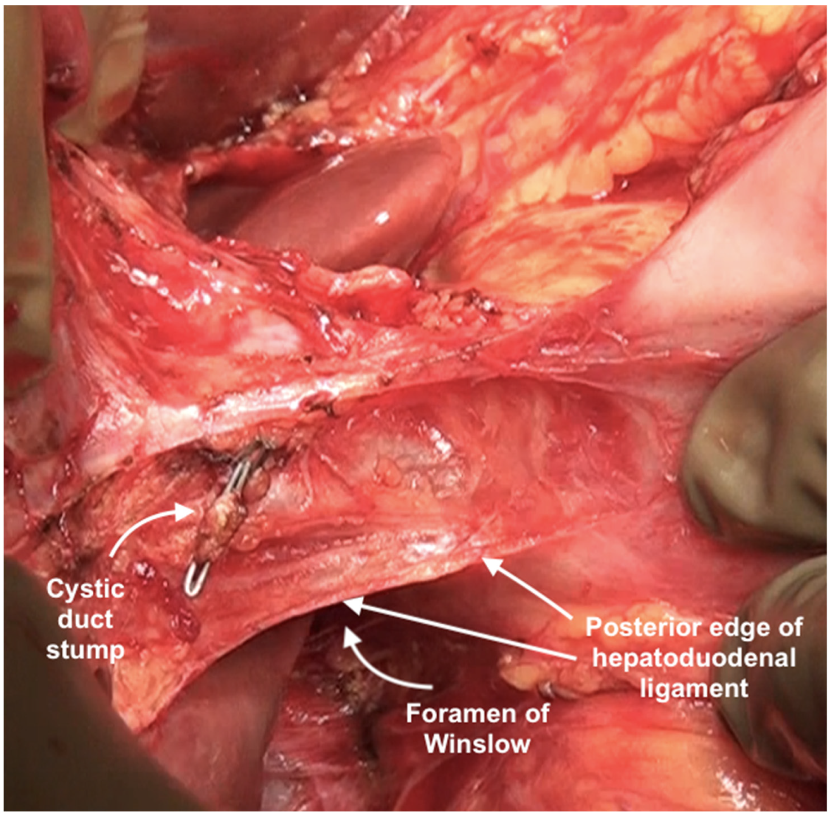 Std 12 00001 g024 Std 12 00001 g024