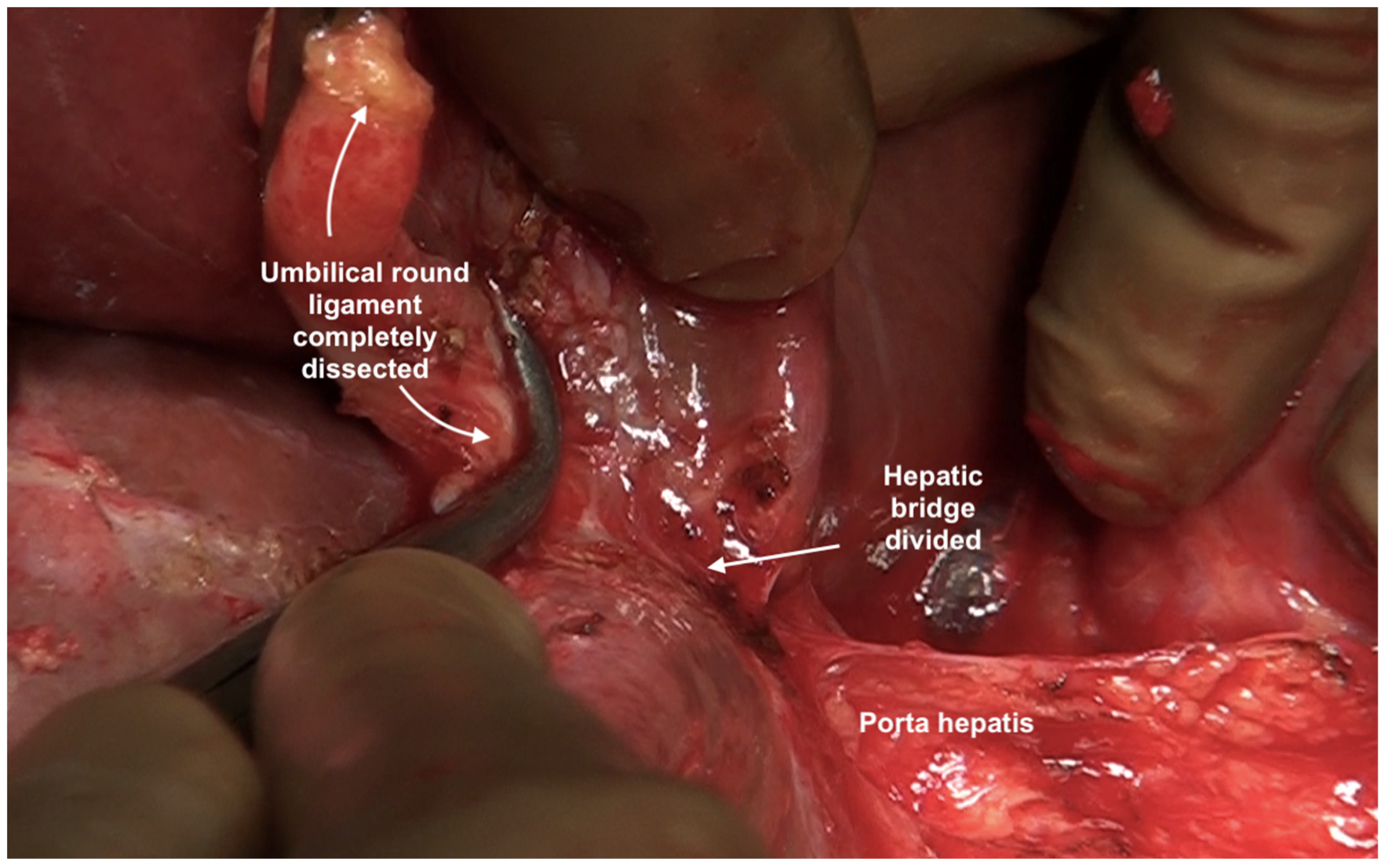 Std 12 00001 g027 Std 12 00001 g027