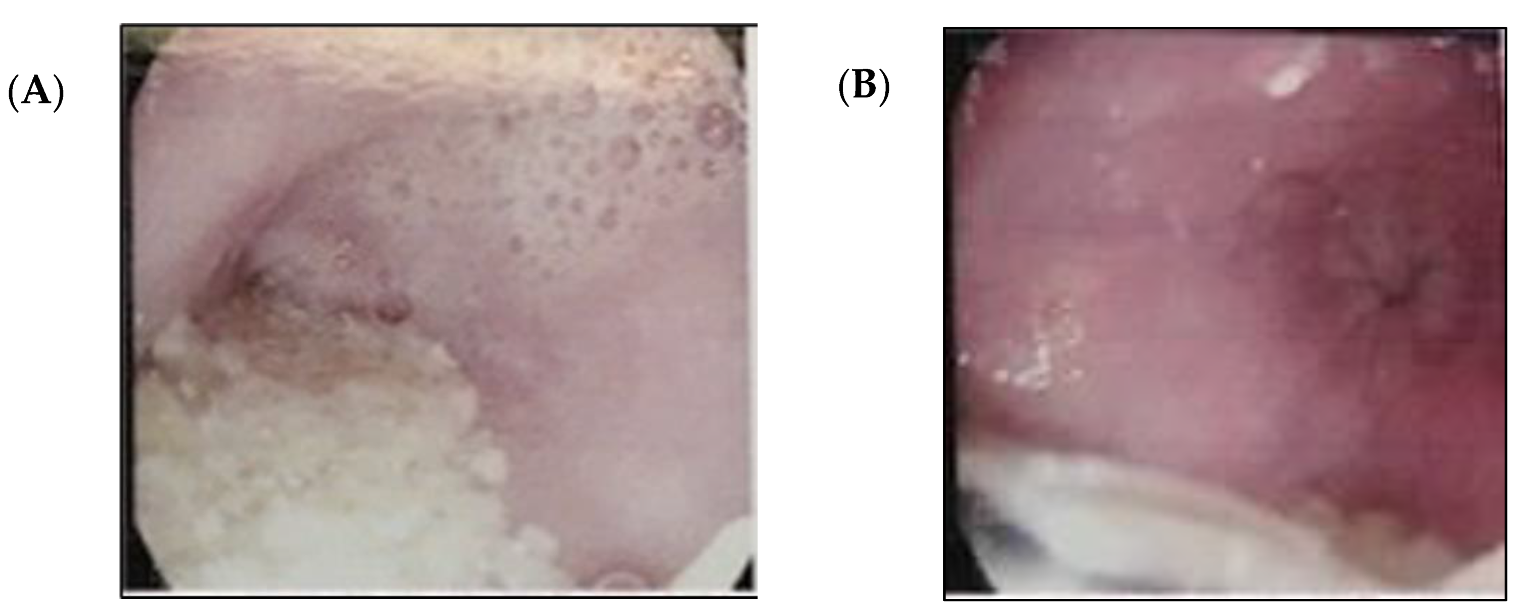 Std 12 00011 g001 Std 12 00011 g001