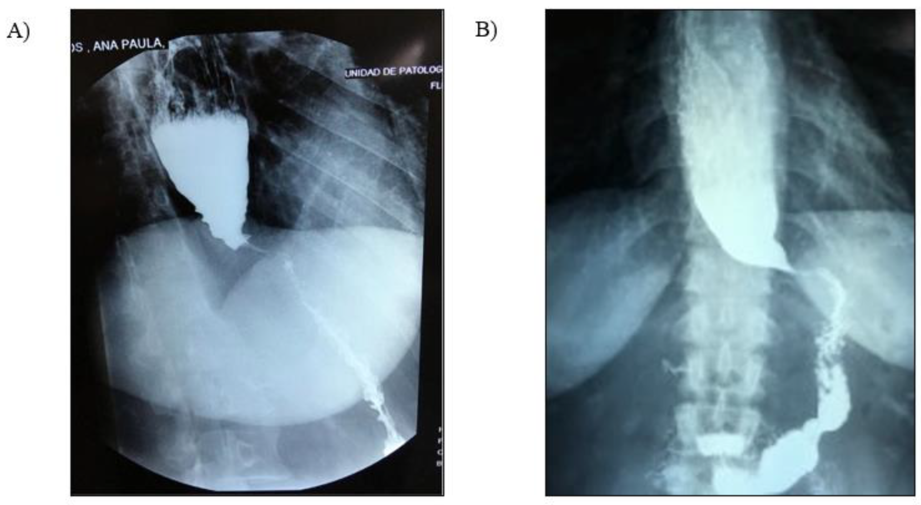 Std 12 00011 g002 Std 12 00011 g002