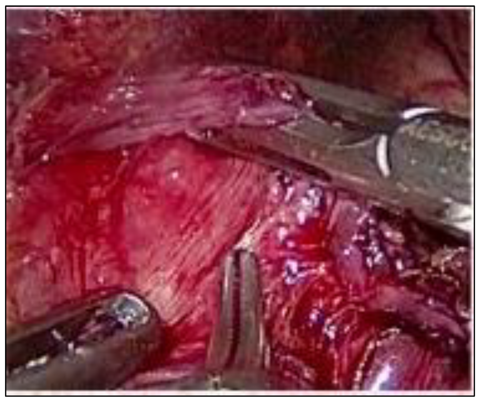 Std 12 00011 g003 Std 12 00011 g003