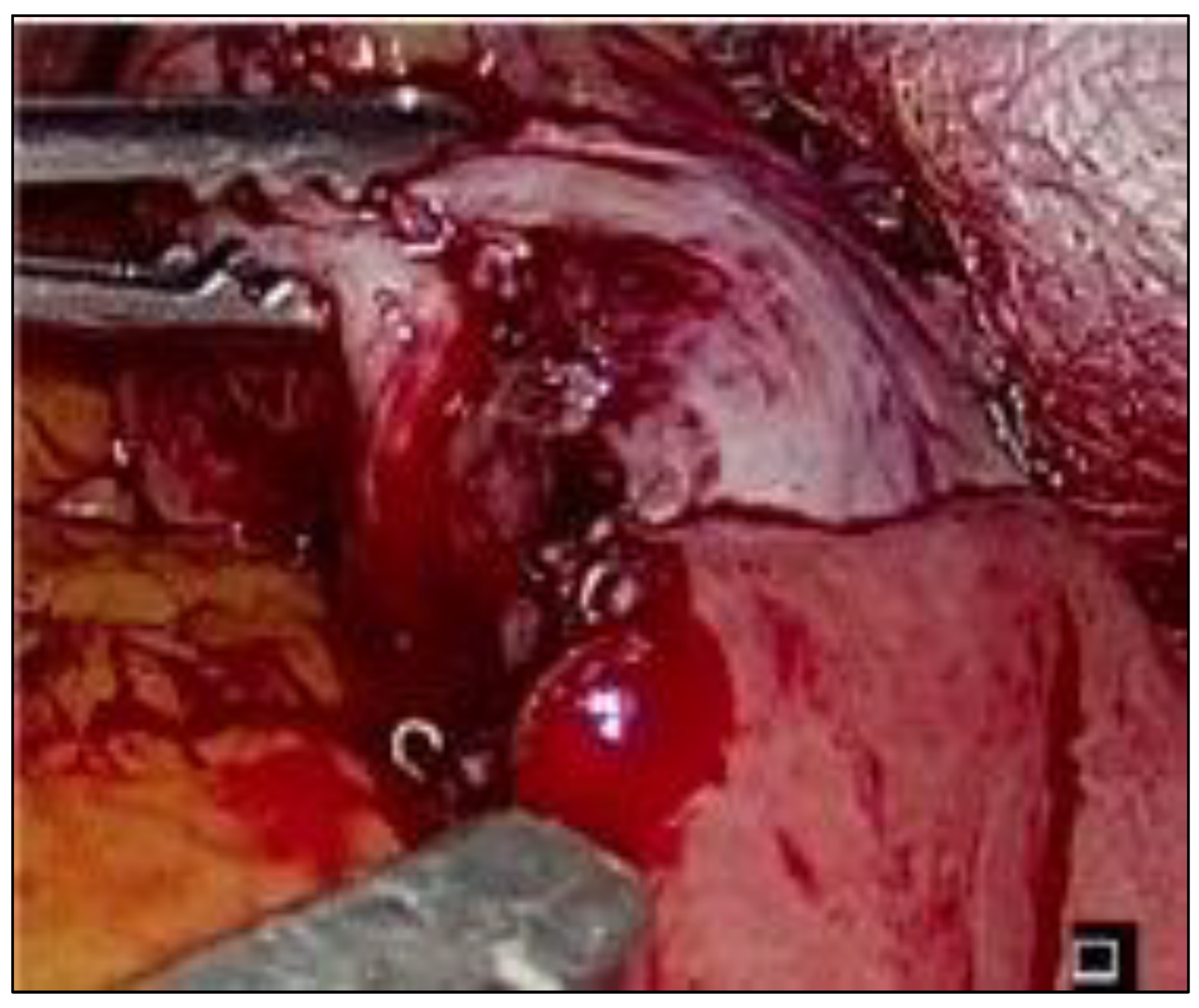 Std 12 00011 g004 Std 12 00011 g004