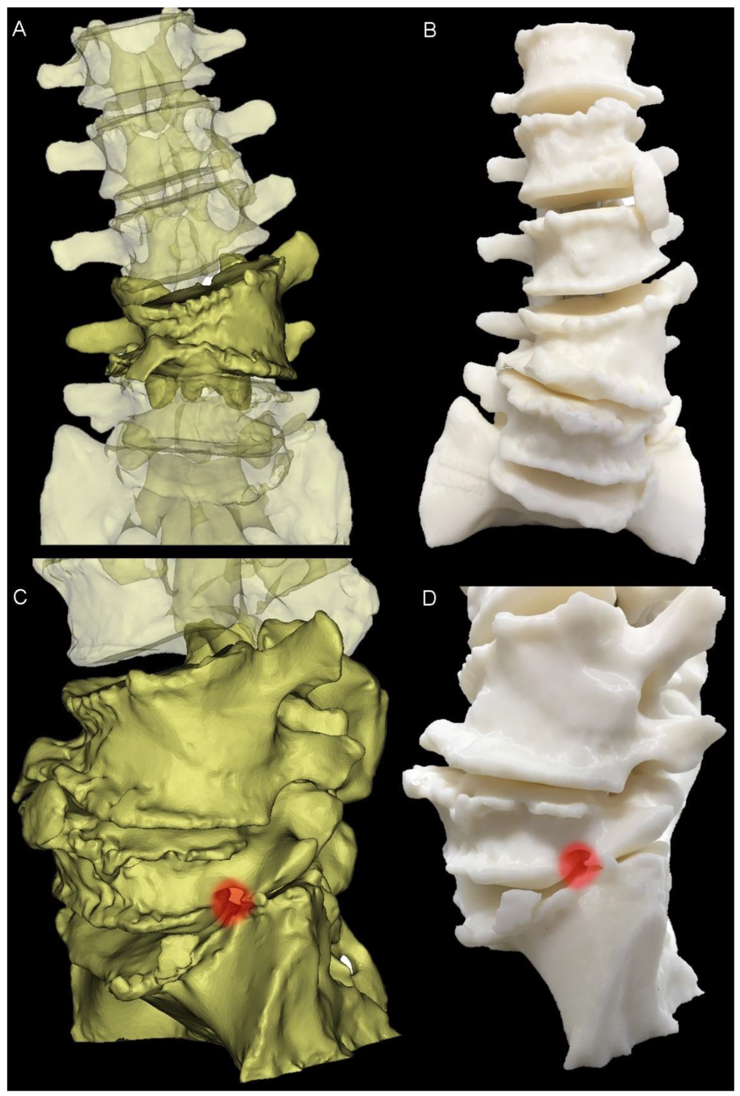 Std 12 00019 g002 Std 12 00019 g002