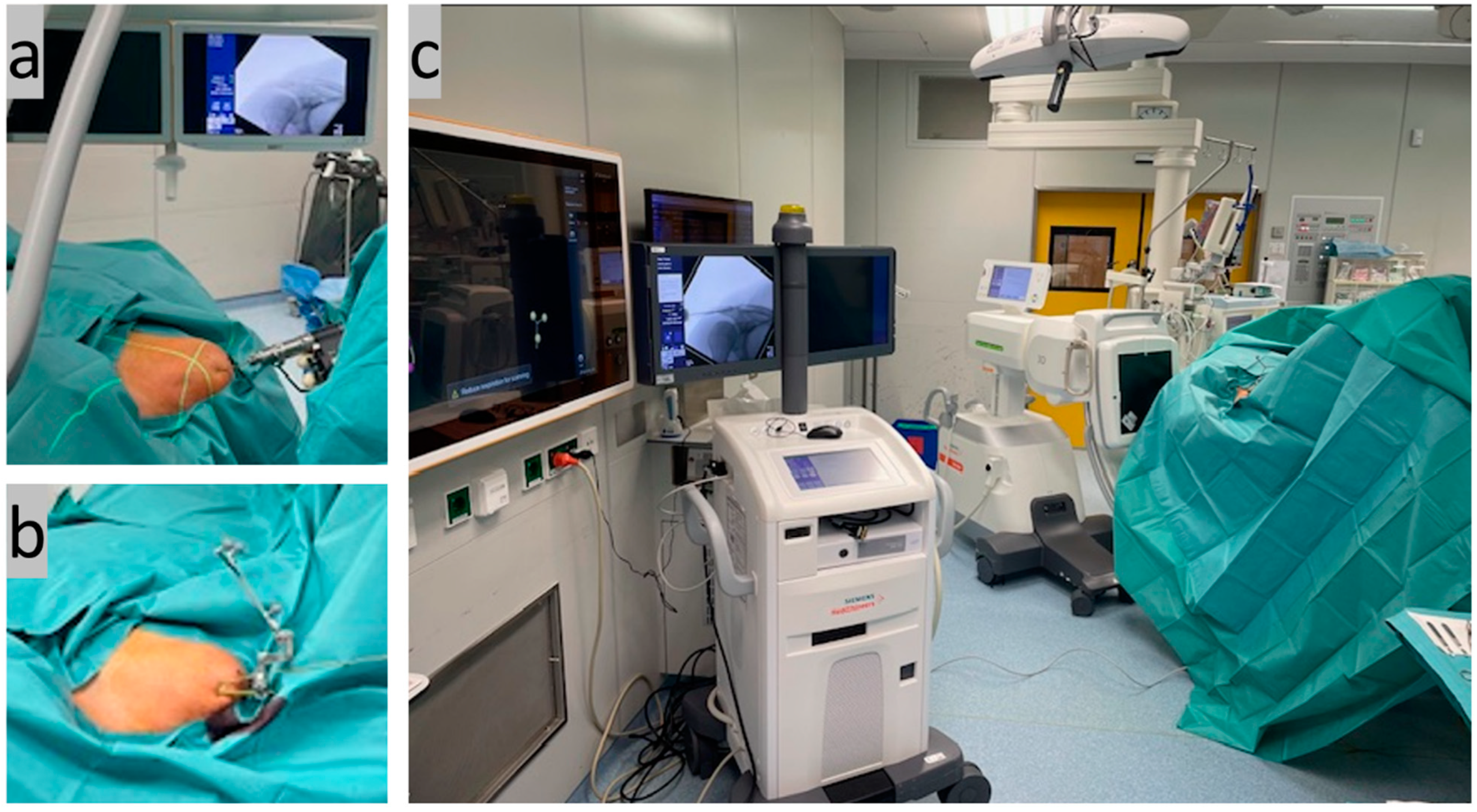 Std 13 00014 g002 Std 13 00014 g002