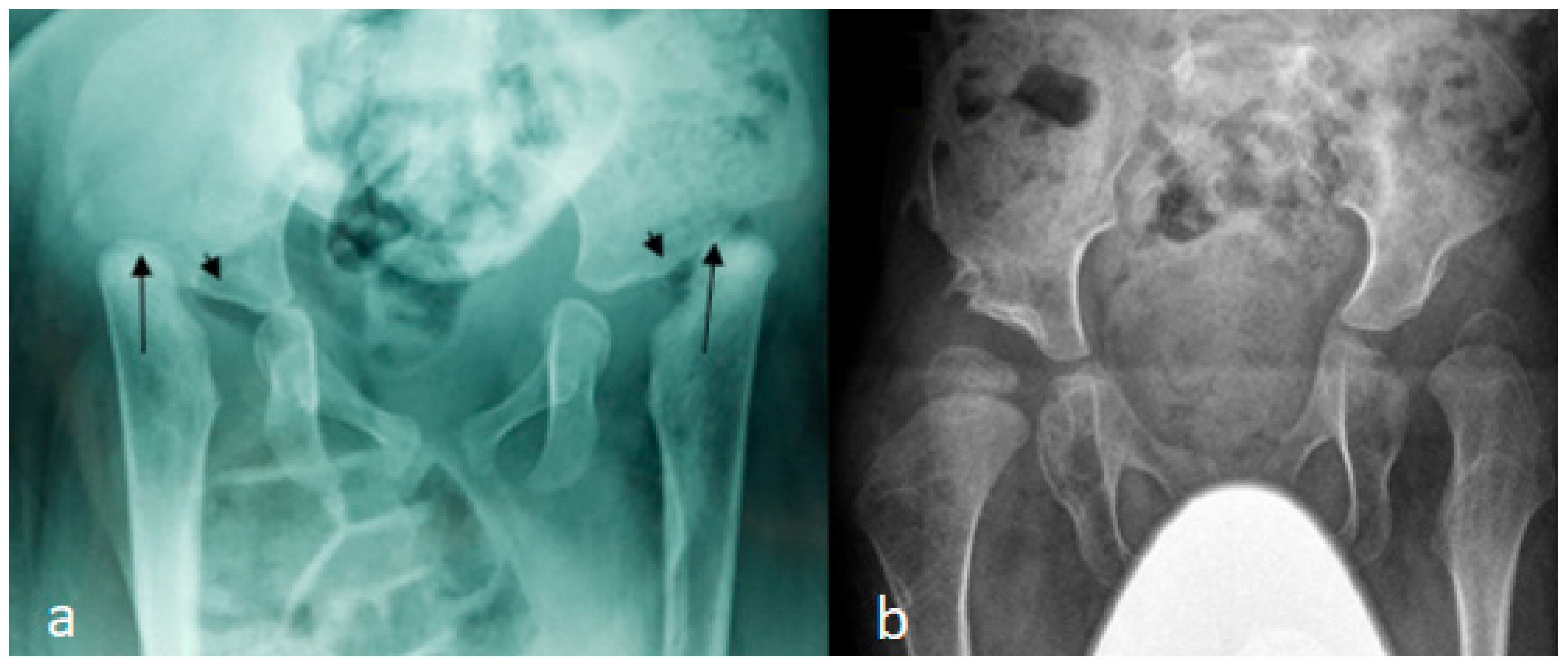 Std 14 00010 g002 Std 14 00010 g002