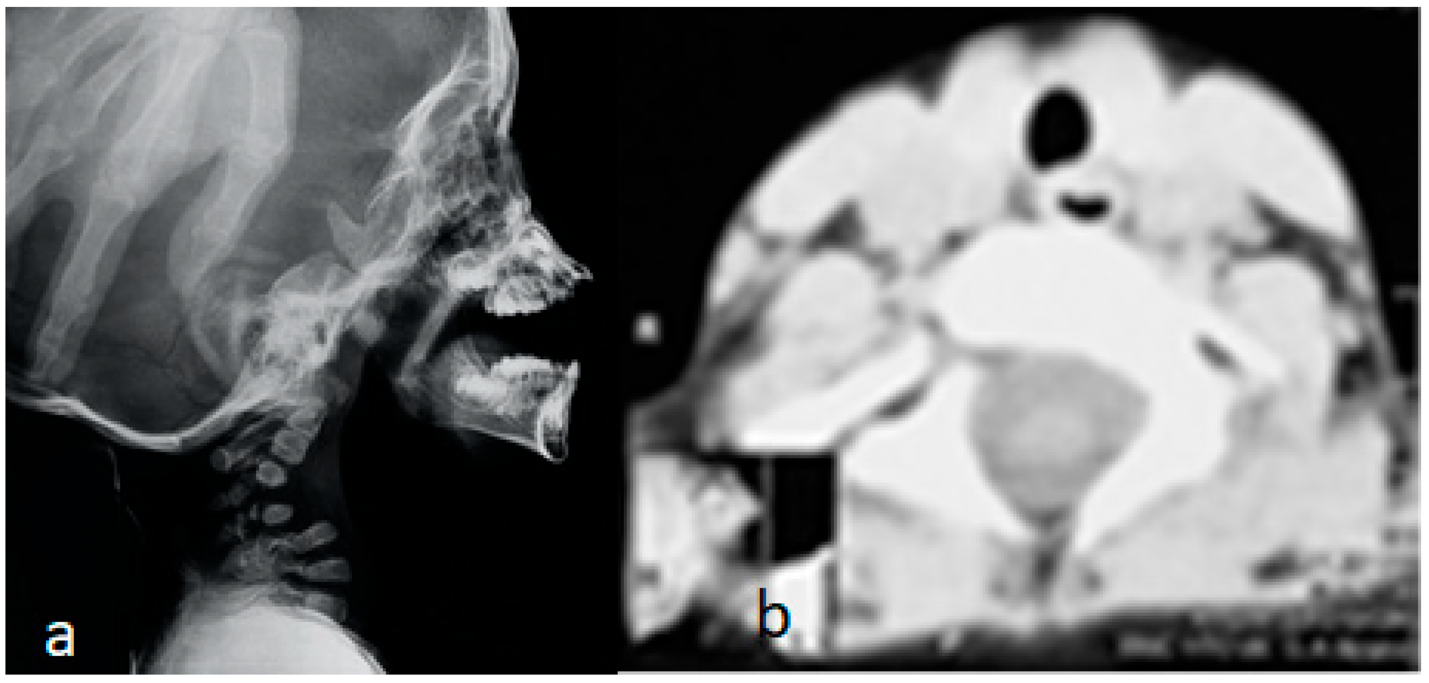 Std 14 00010 g008 Std 14 00010 g008