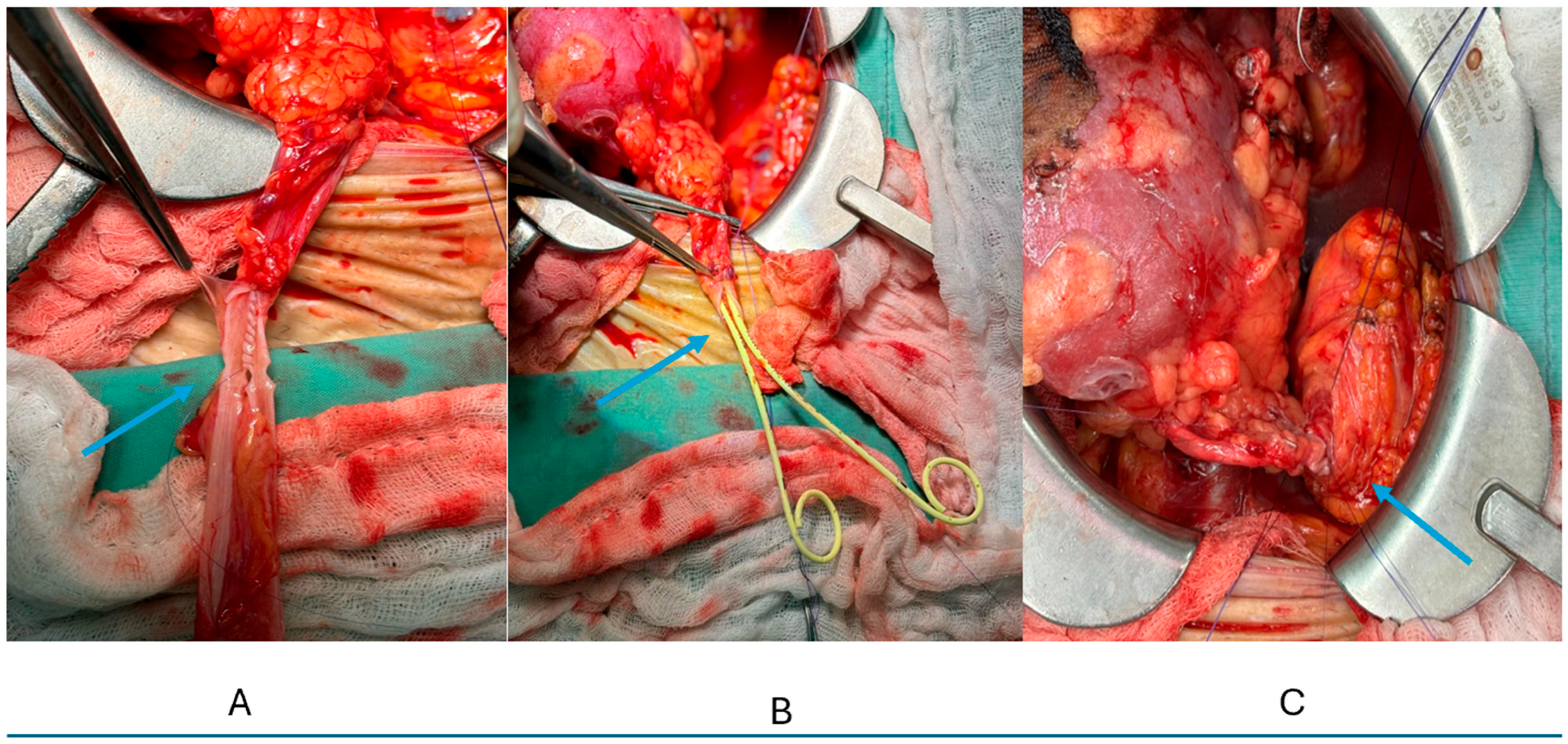Std 14 00031 g001 Std 14 00031 g001