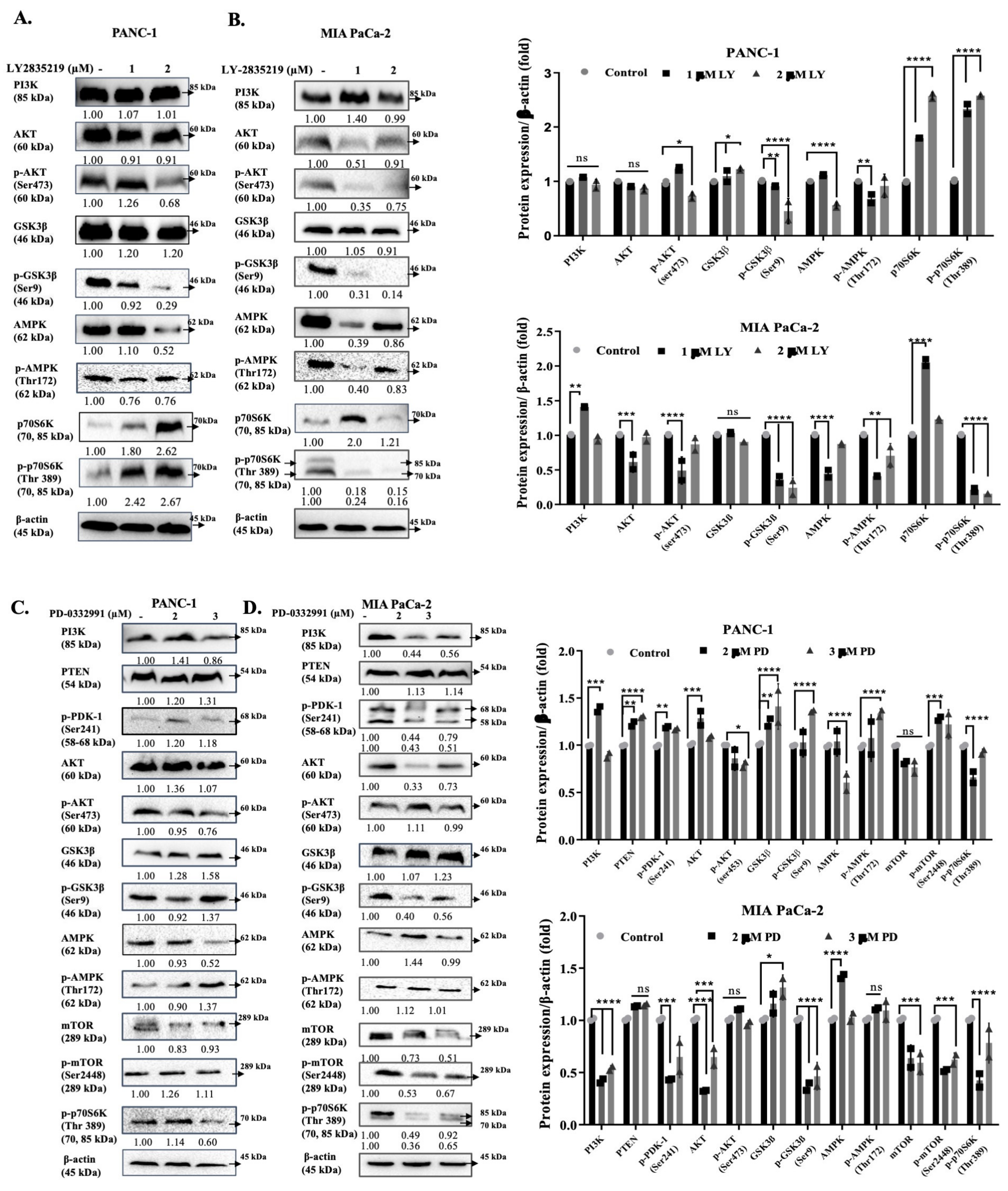 Stresses 01 00005 g004a