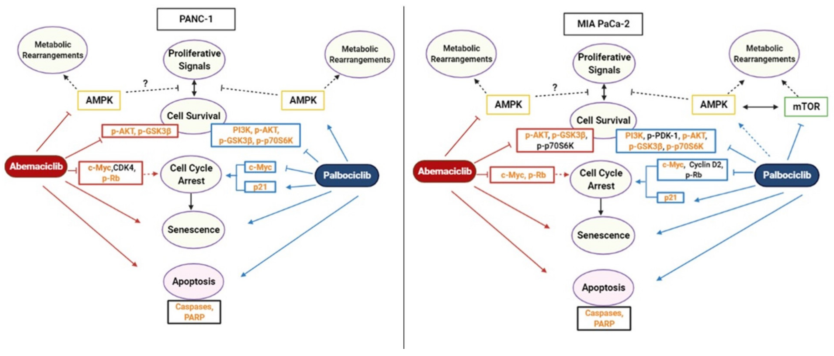 Stresses 01 00005 g006