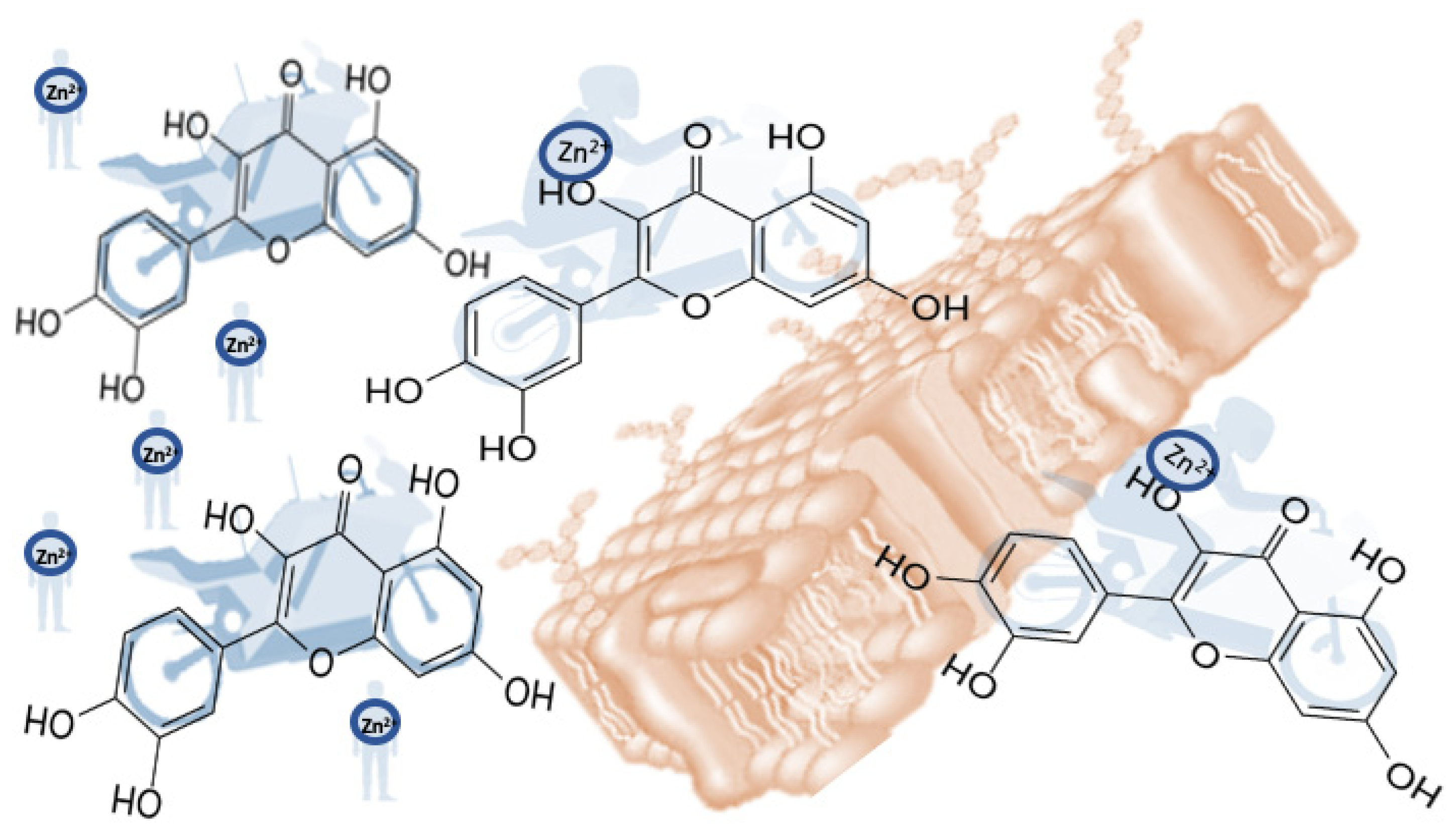 Stresses 01 00011 g012