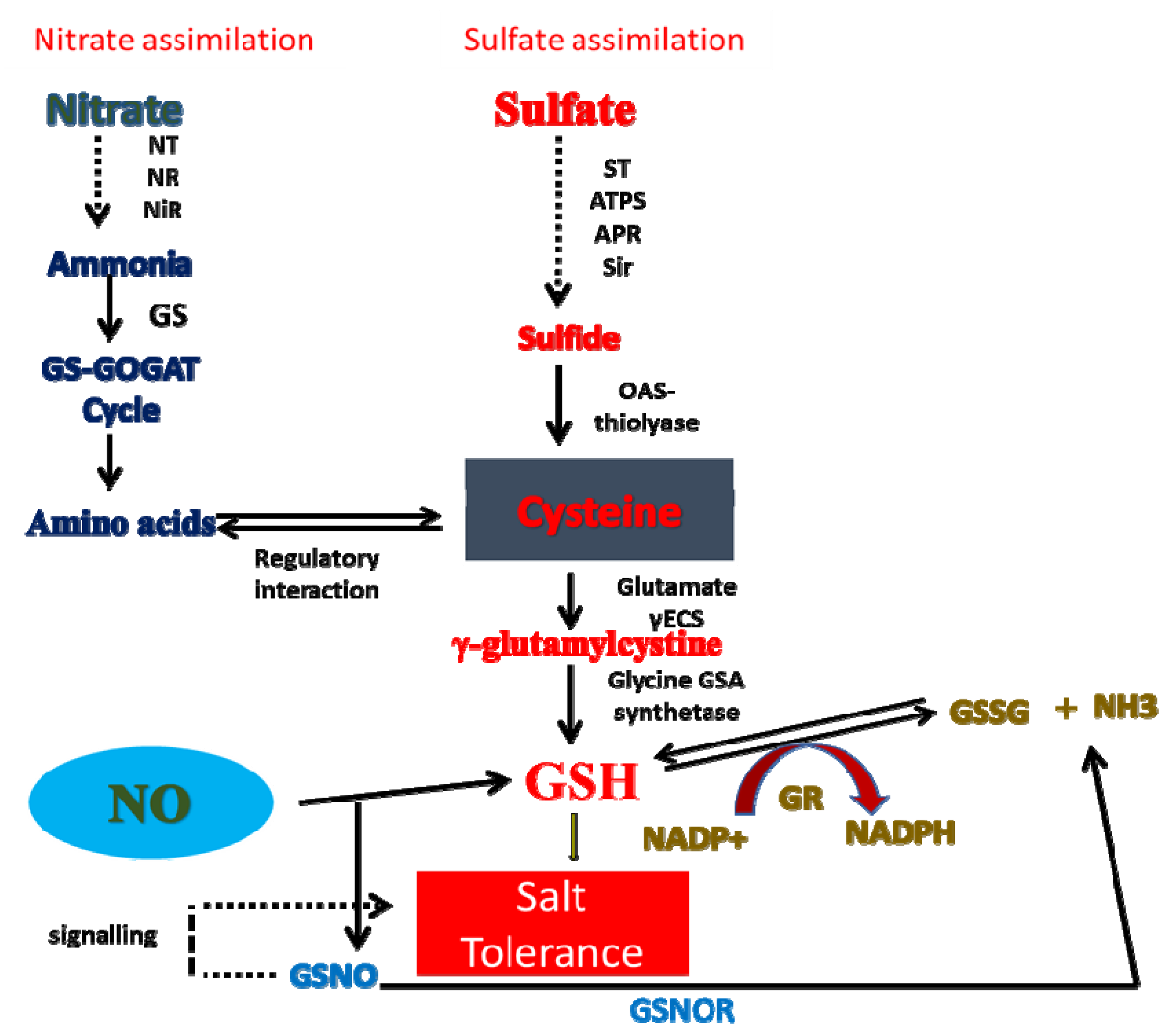 Stresses 01 00014 g002 Stresses 01 00014 g002