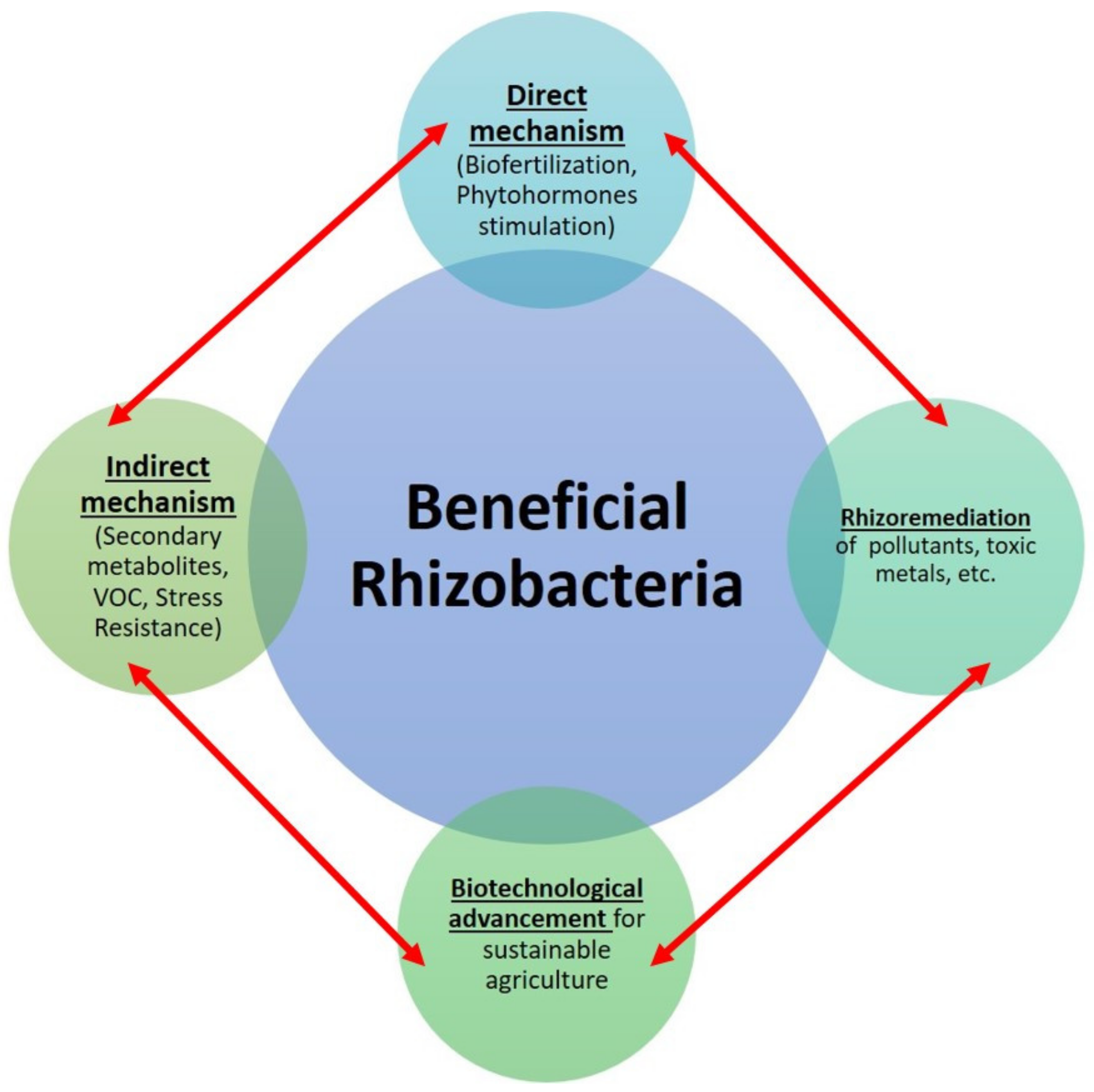 Stresses 01 00015 g002