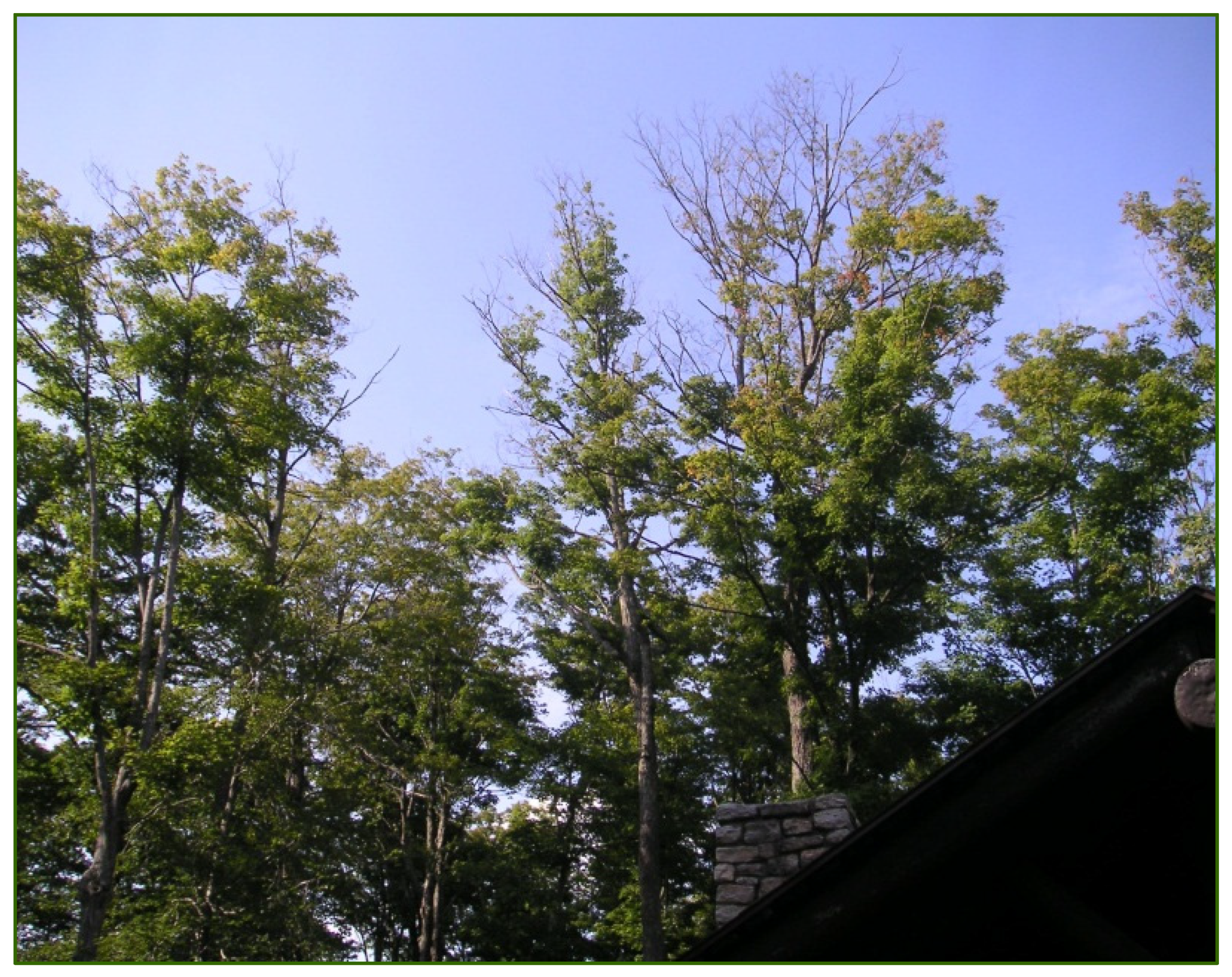 Stresses 02 00007 g005