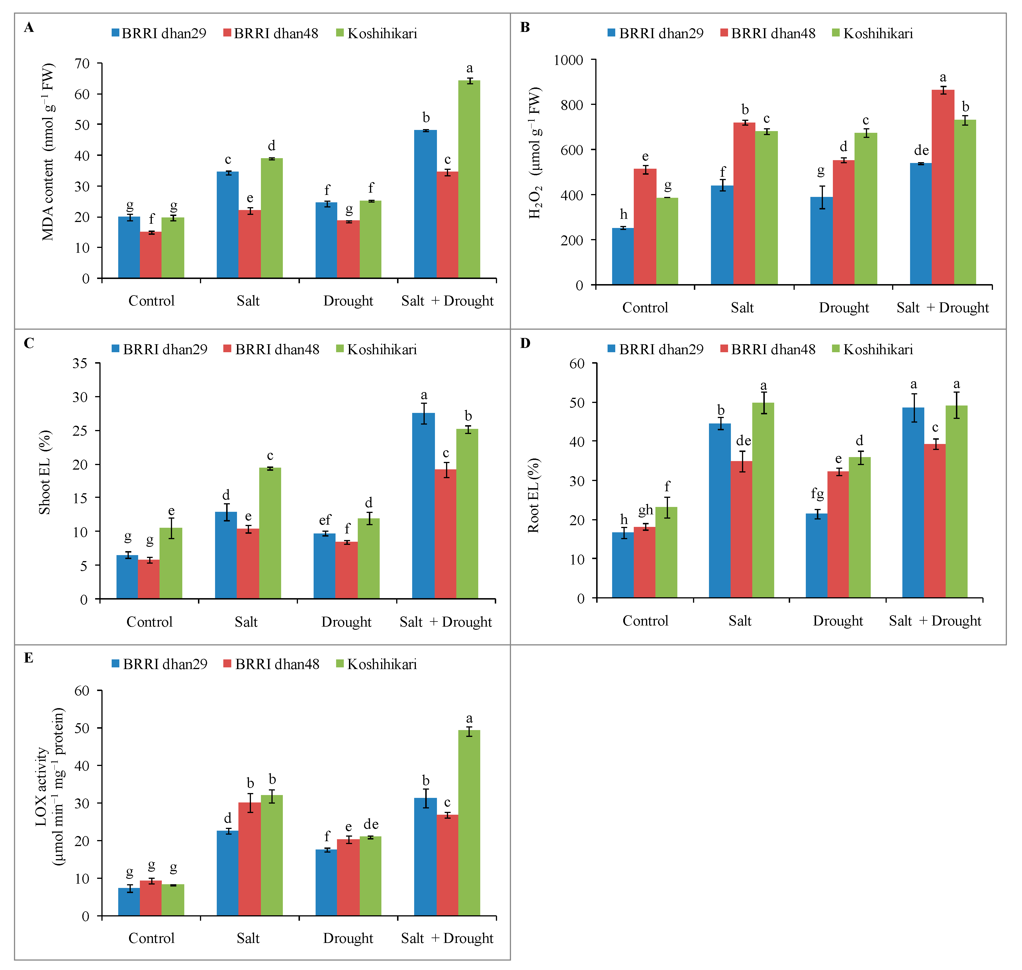 Stresses 02 00012 g006