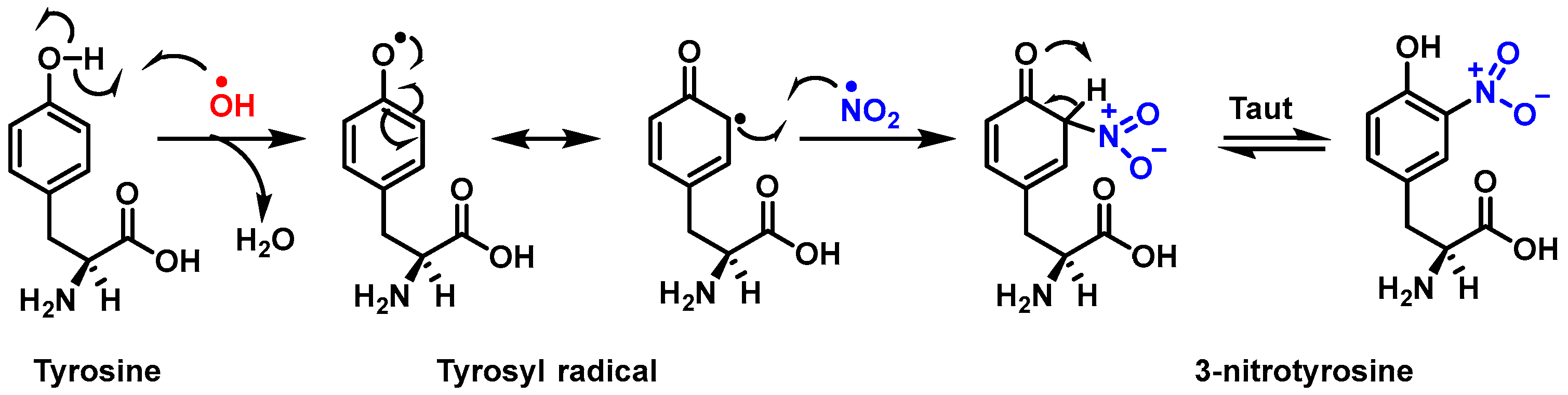 Stresses 02 00015 g001
