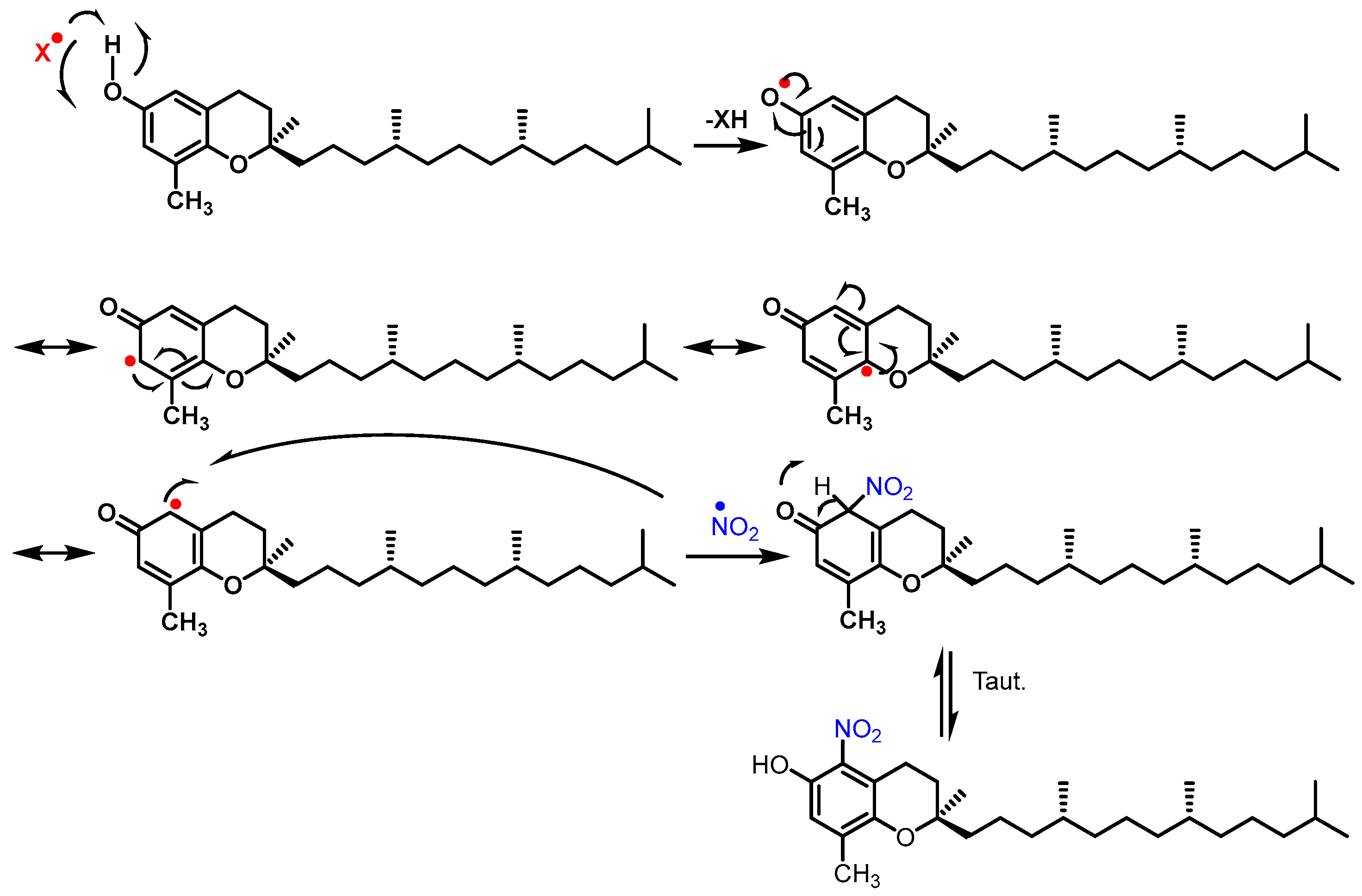 Stresses 02 00015 g012