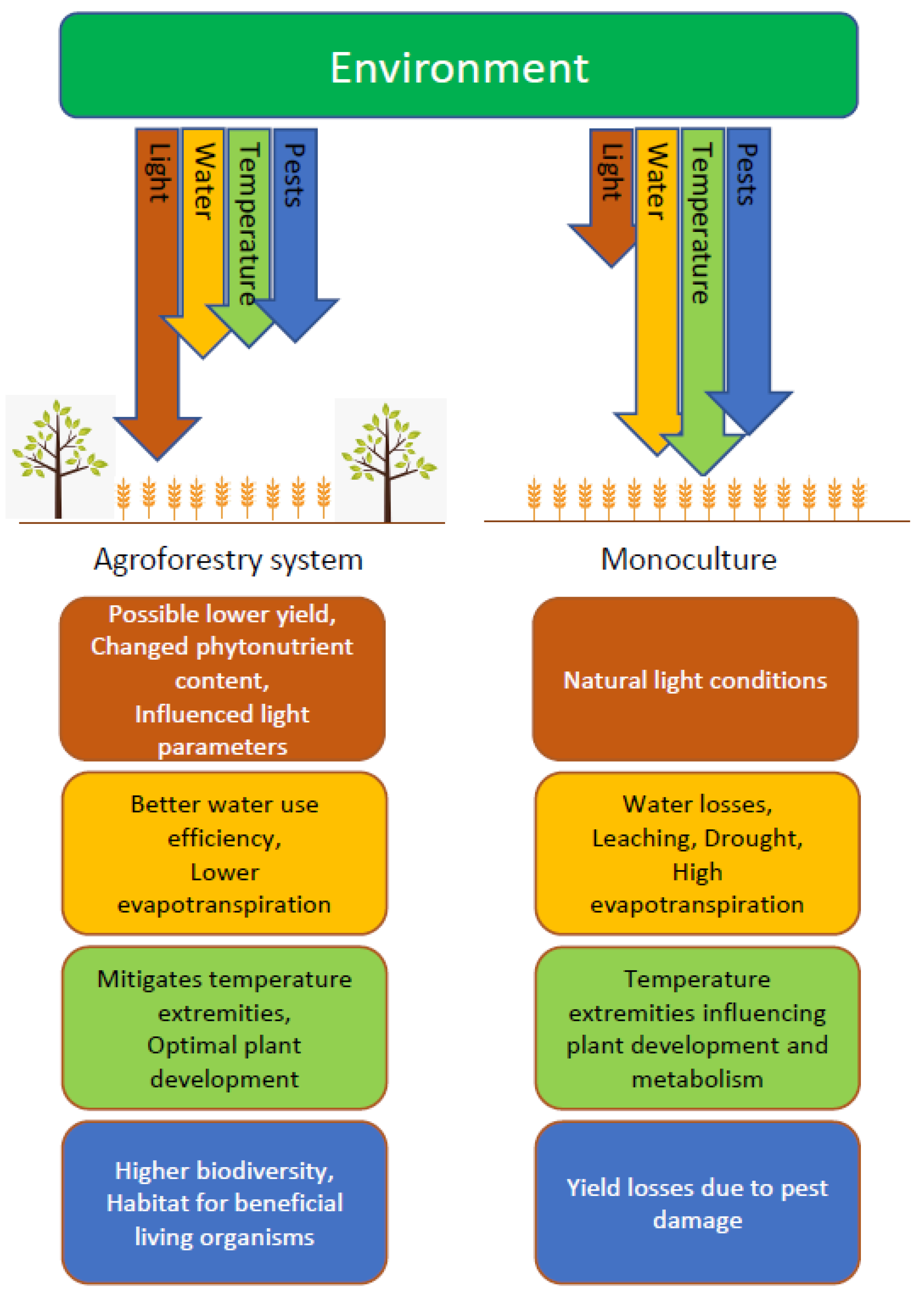 Plant functional traits and types: Their relevance for a better