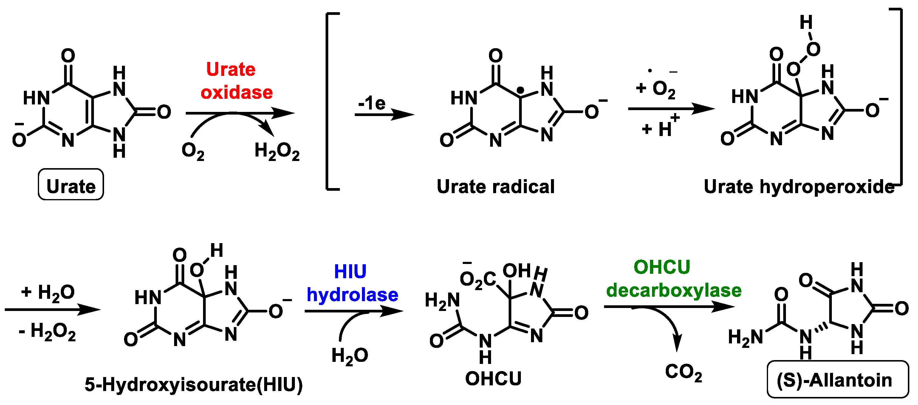 Stresses 02 00019 g010