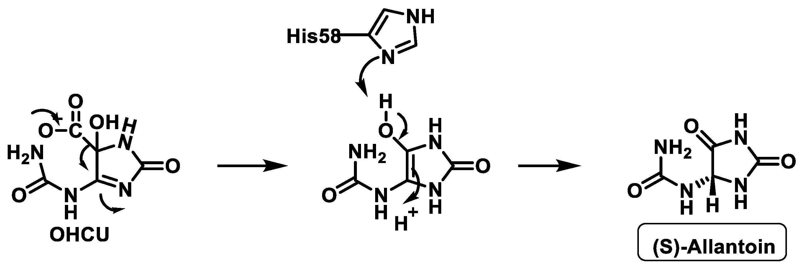 Stresses 02 00019 g011