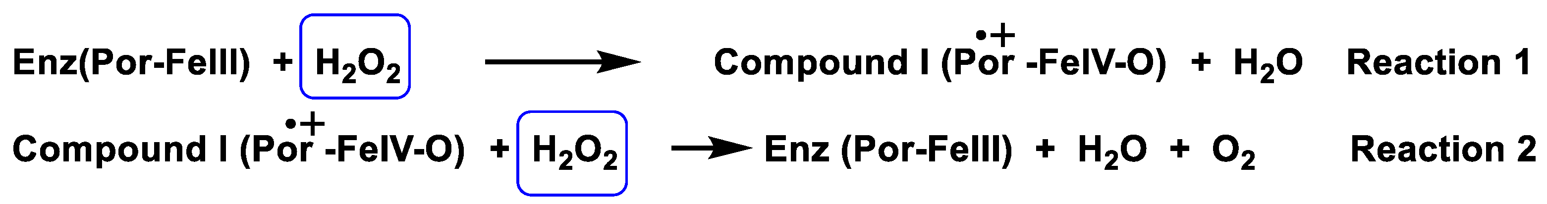 Stresses 02 00019 g014a