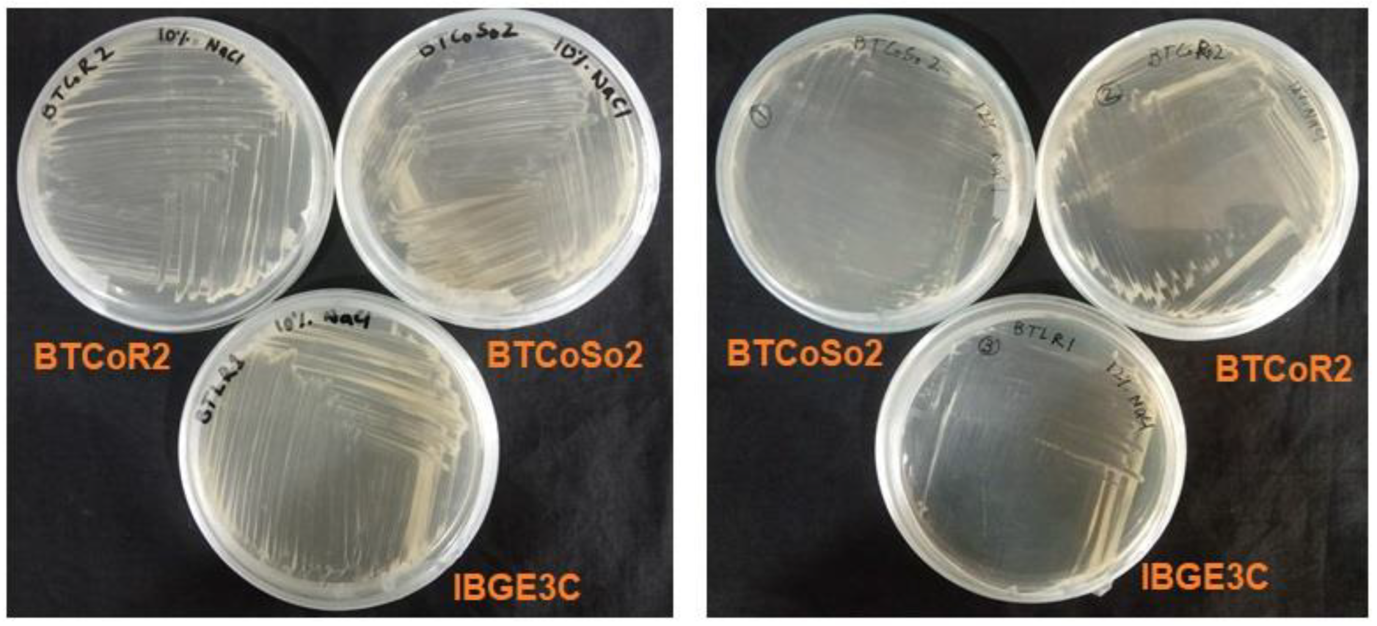 Stresses 02 00020 g003