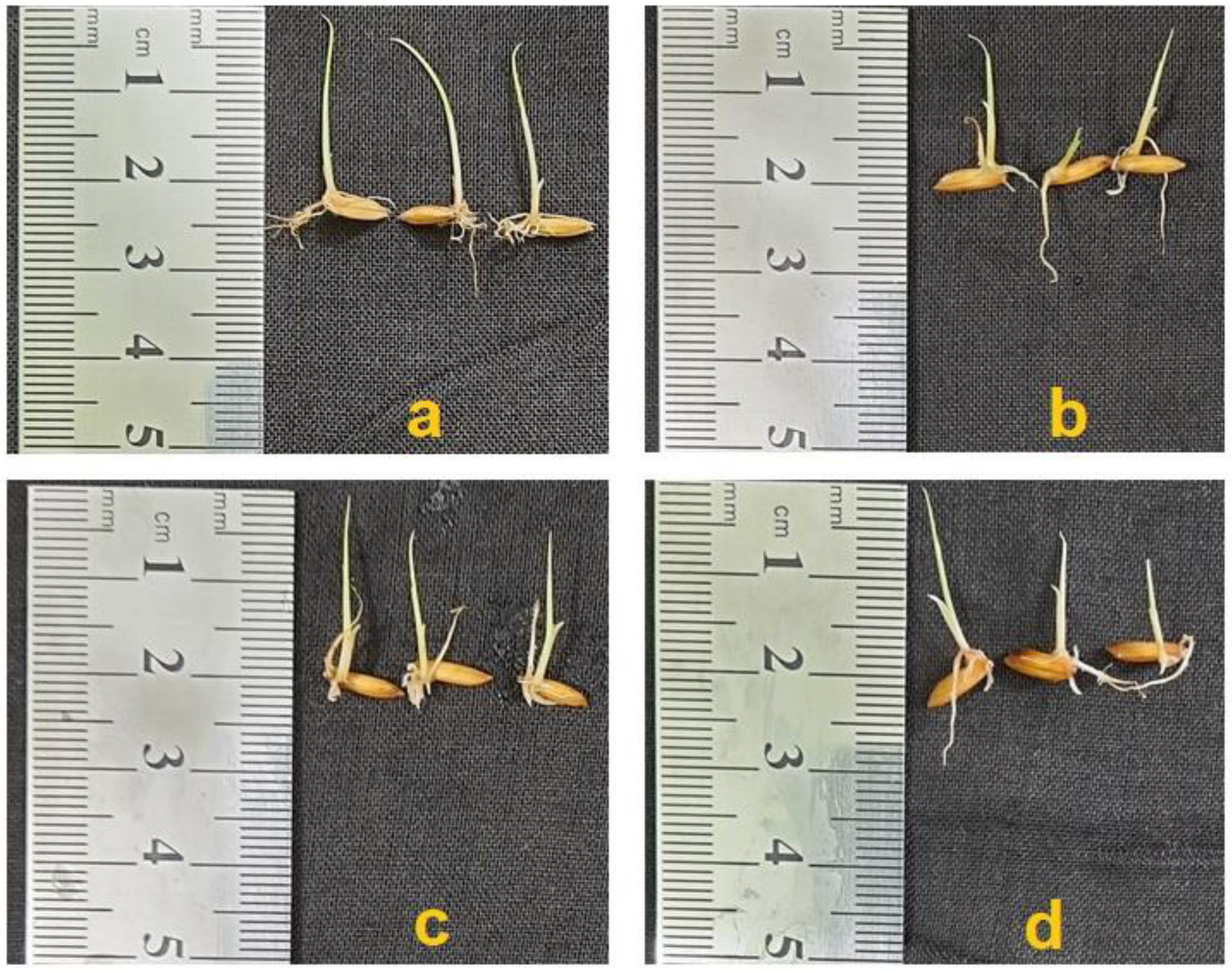 Stresses 02 00020 g004