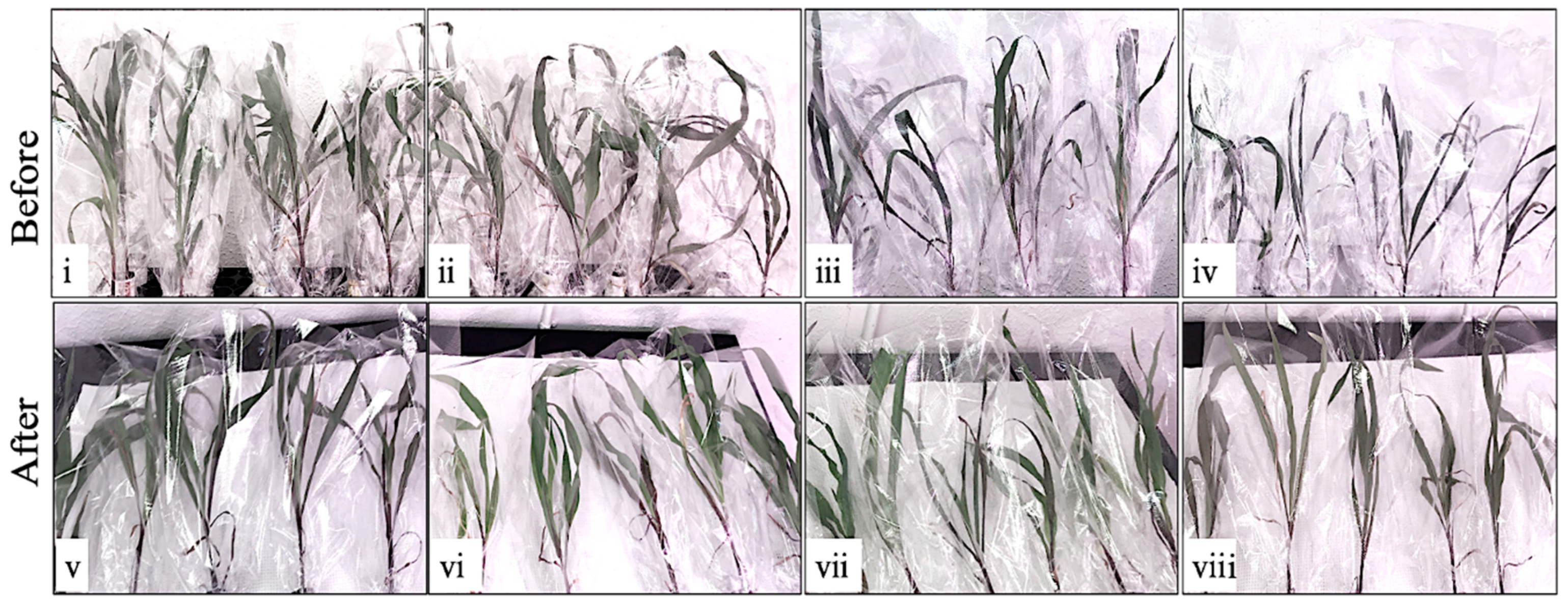 Stresses 02 00023 g001