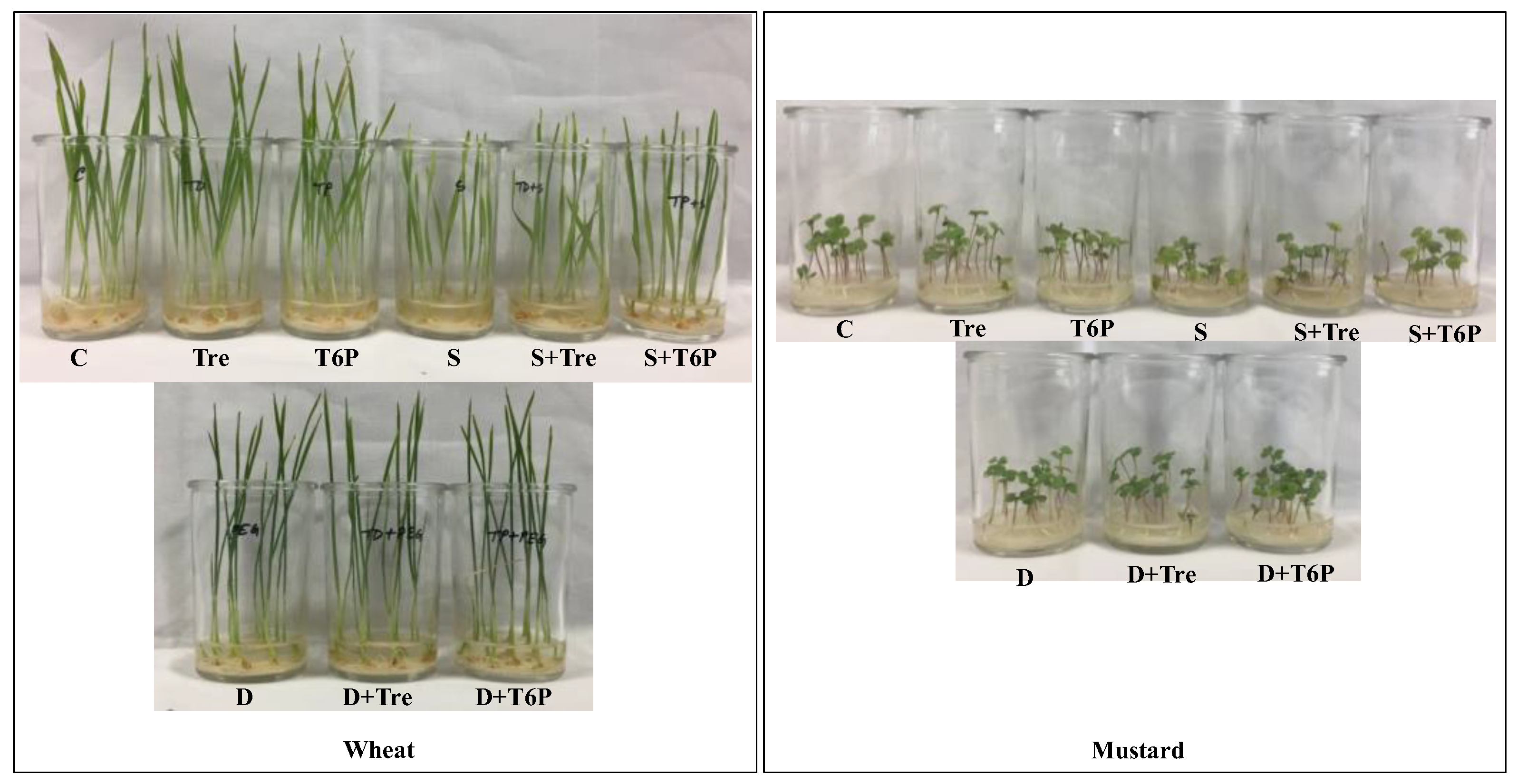 Stresses 02 00024 g001 550