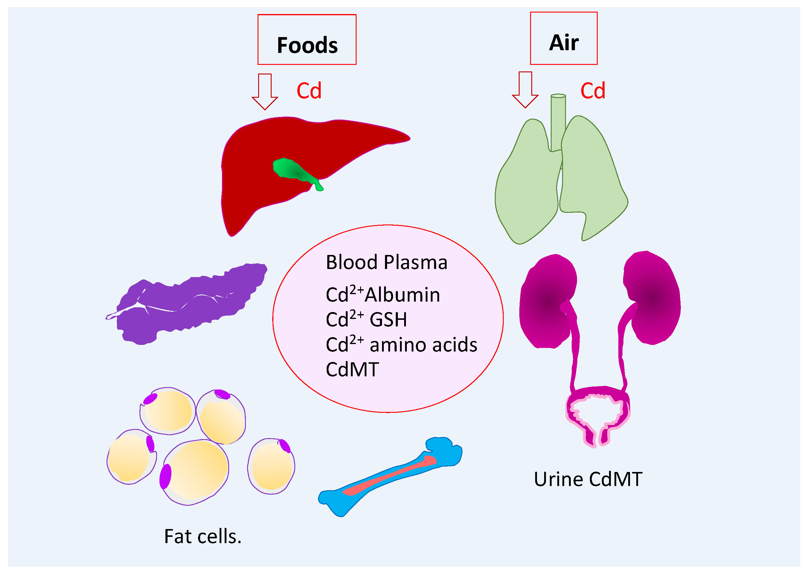 Stresses 02 00025 g001