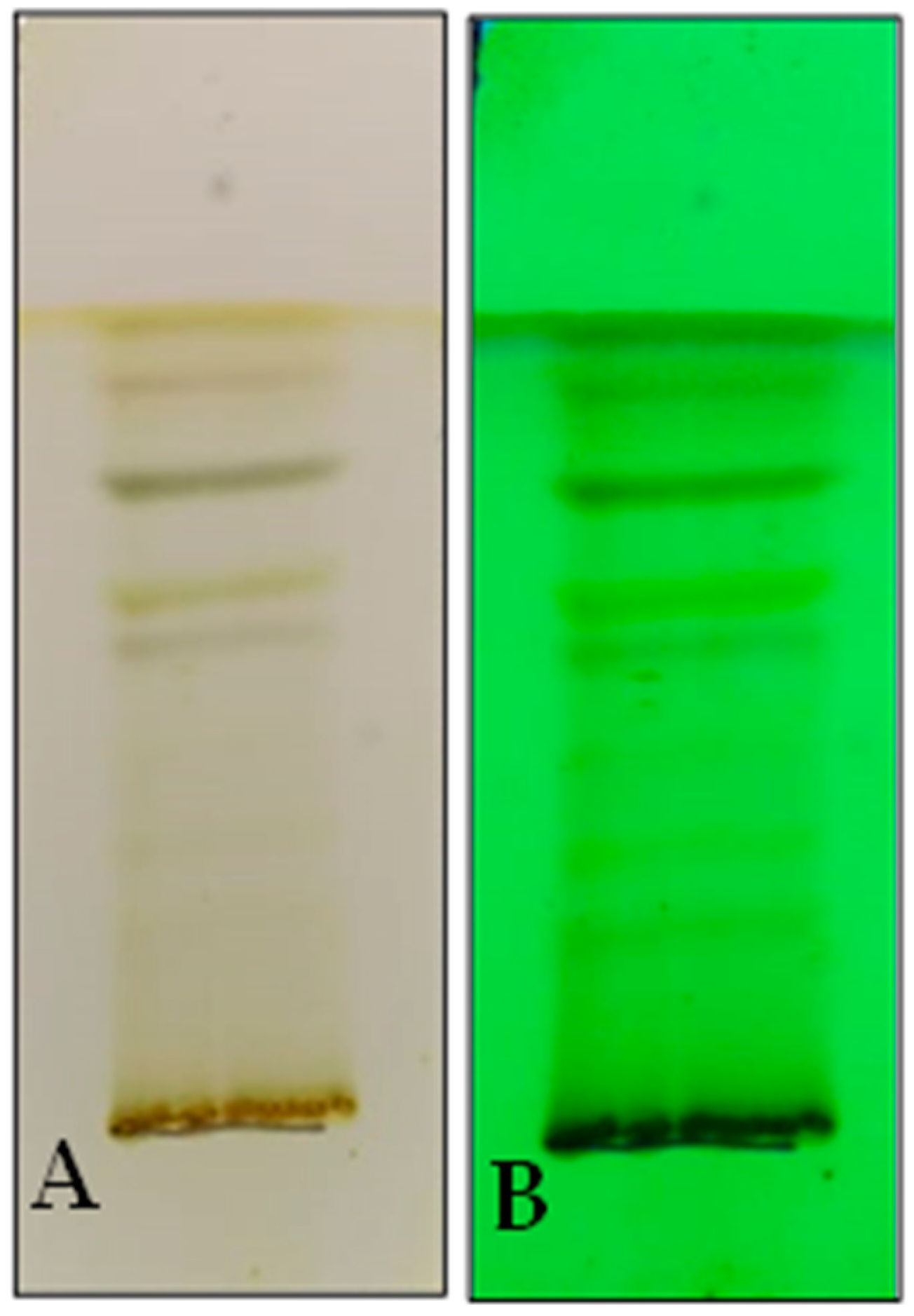 Phytochemical and In Vitro Cytotoxic Screening of Chloroform Extract of