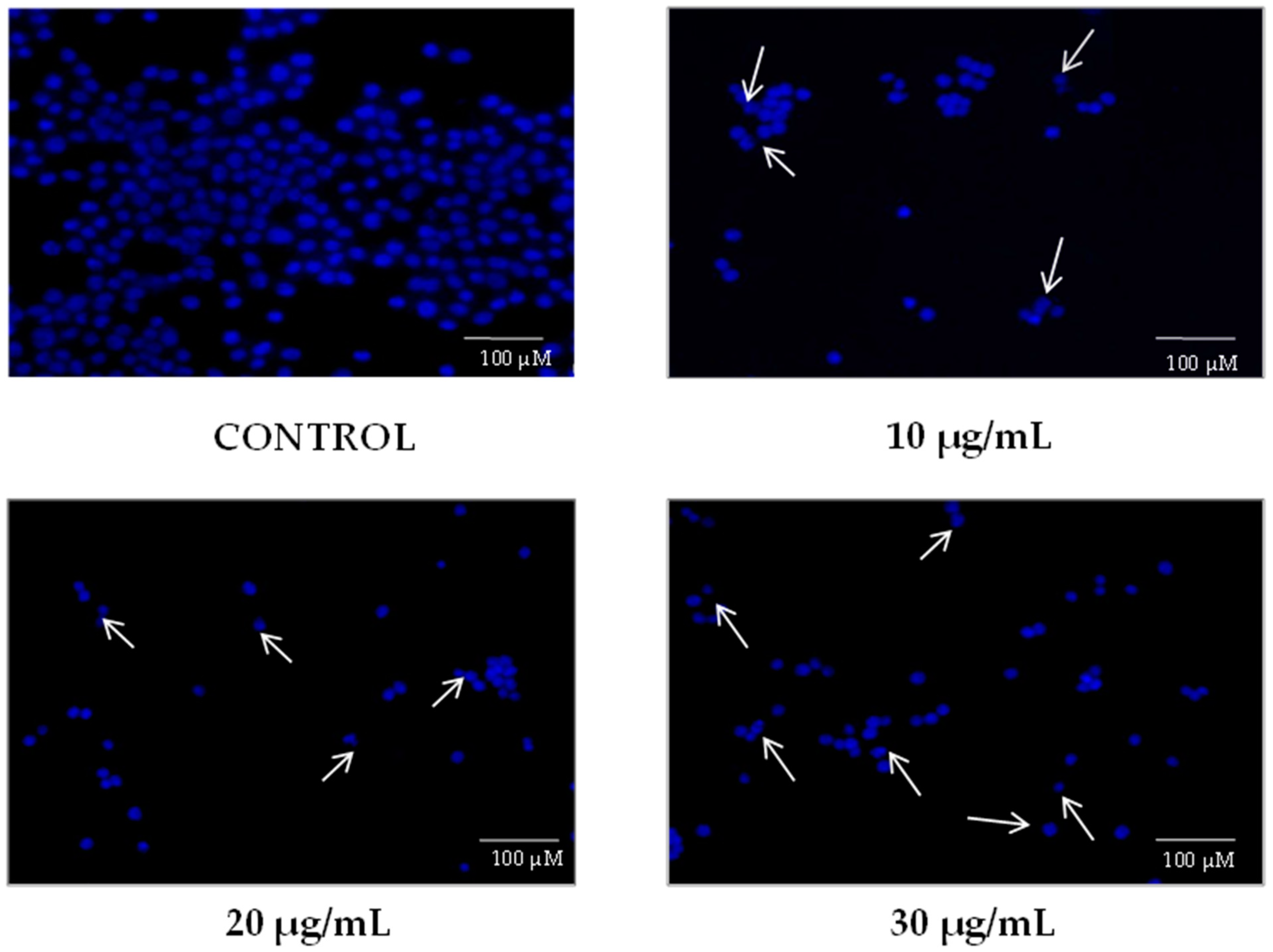Stresses 02 00027 g002 Stresses 02 00027 g002