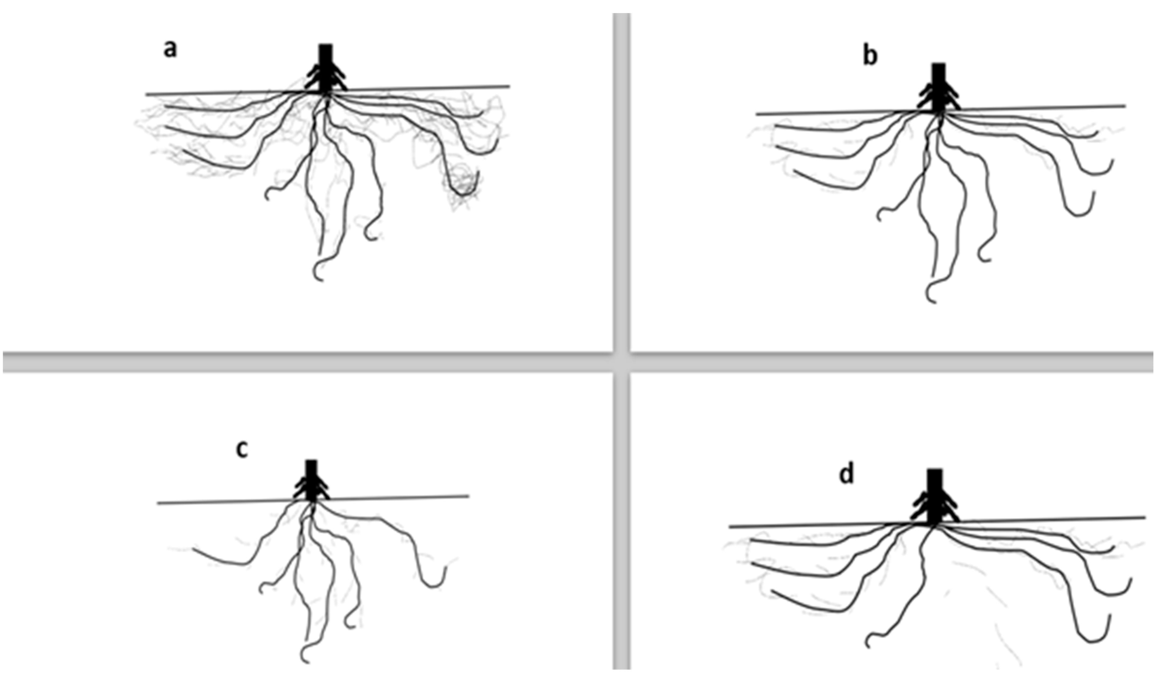 Stresses 02 00028 g001