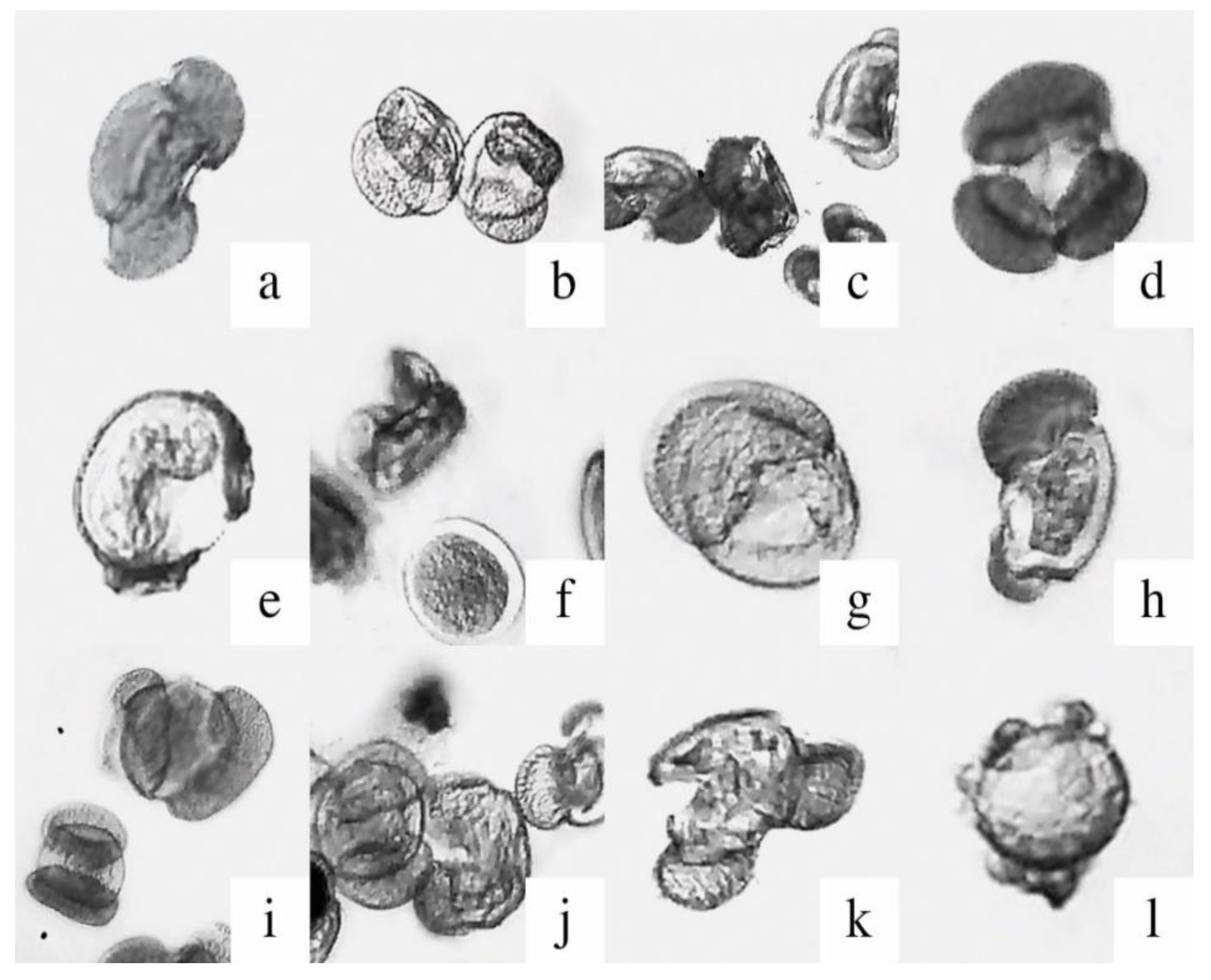 Stresses 02 00035 g001