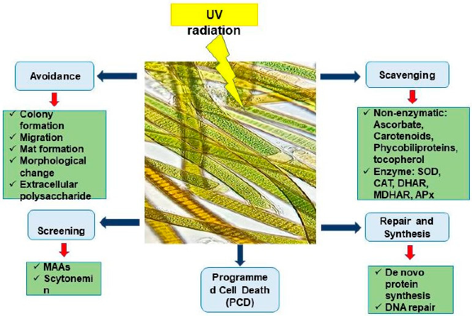 Stresses 02 00036 g002 Stresses 02 00036 g002