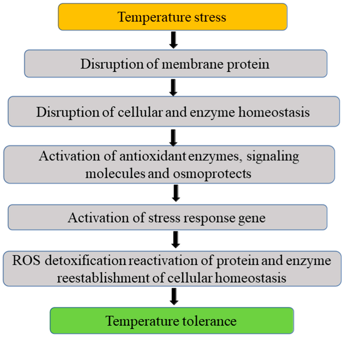 Stresses 02 00036 g003 Stresses 02 00036 g003